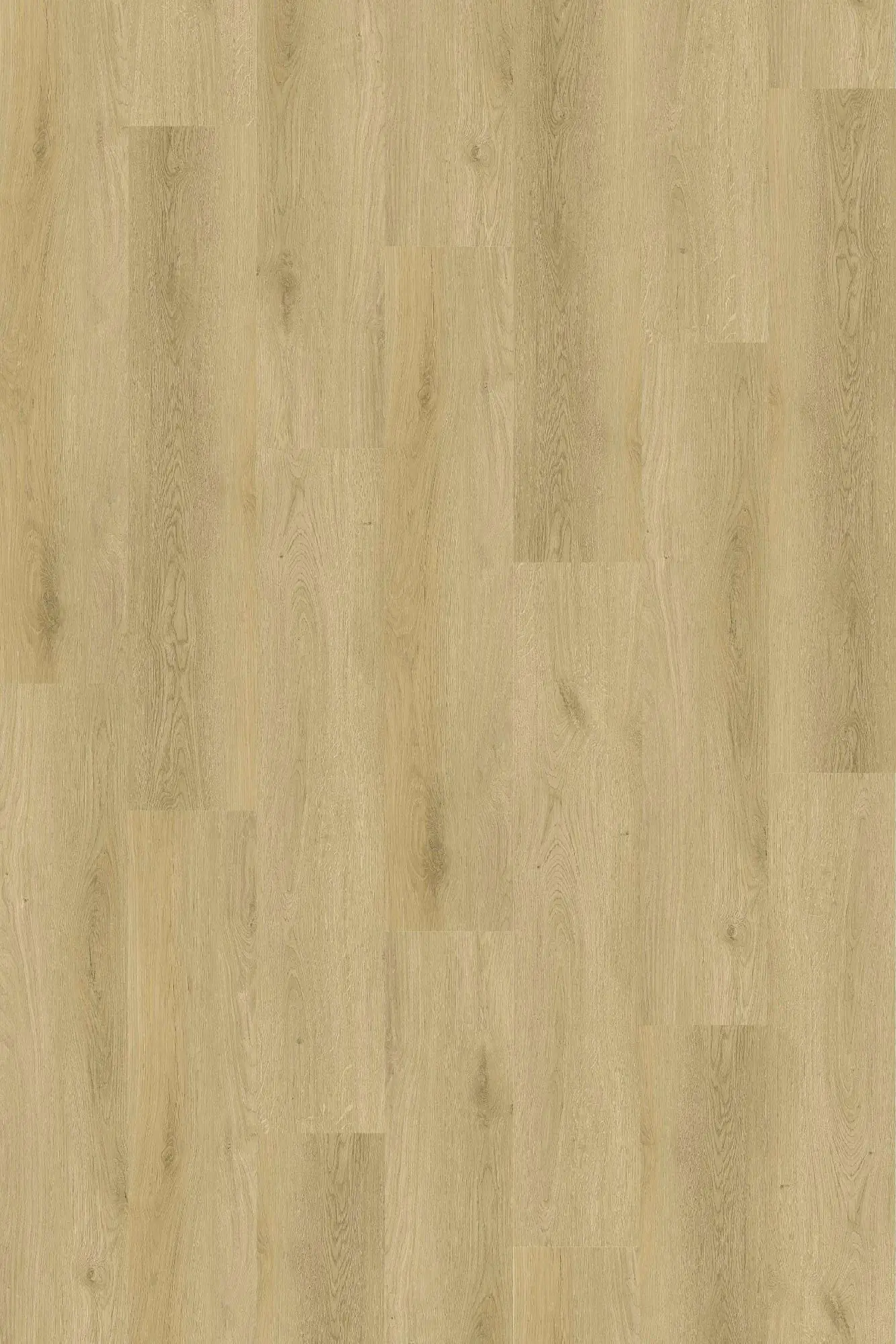 Primaster Vinylboden Silent Exklusiv mit Trittschalldämmung Primaster Vinylboden Silent Exklusiv mit Trittschalldämmung