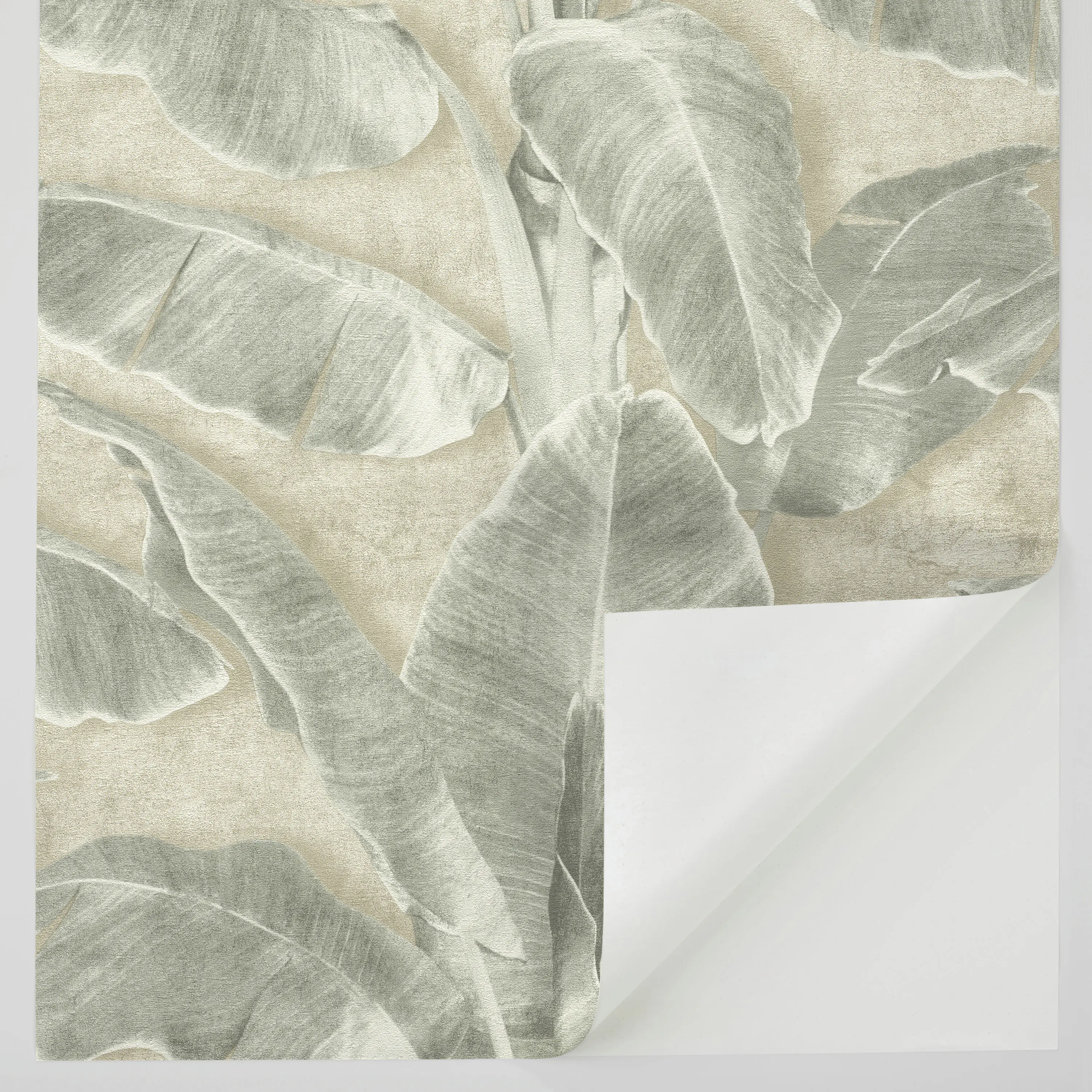 Tesa x Rasch selbstklebende Tapete Cuba Blatt grün beige 6 x 0,53 m Tesa x Rasch selbstklebende Tapete Cuba Blatt grün beige 6 x 0,53 m