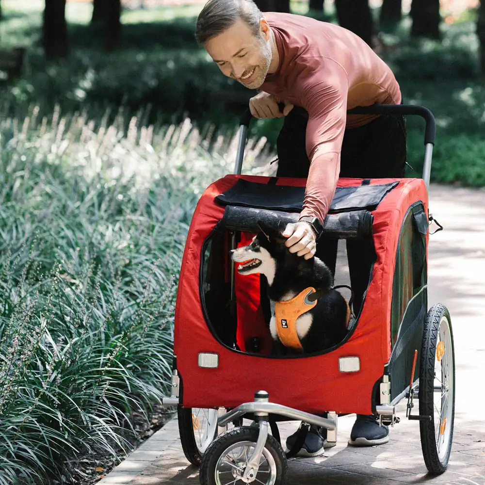 Nobby Fahrradanhänger Senlima