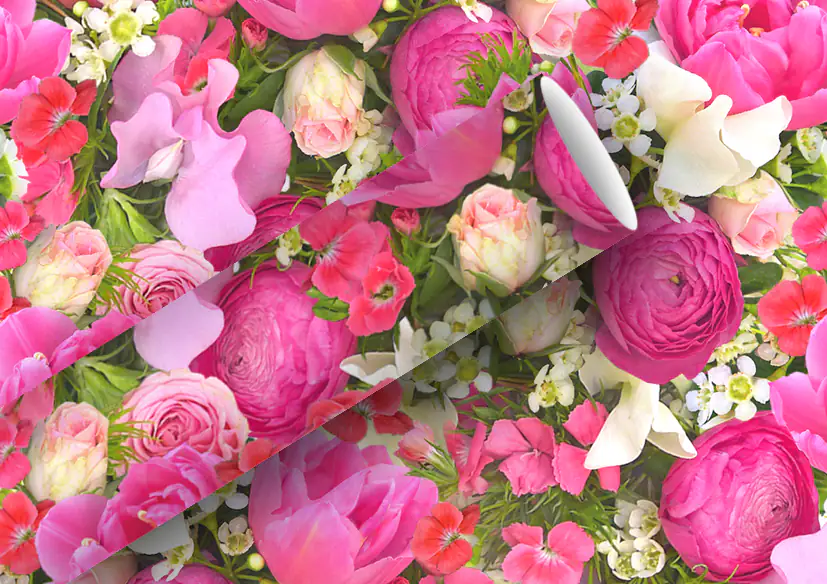 Braun & Company Geschenkpapier Kollektion Rosemarie 2 m x 70 cm