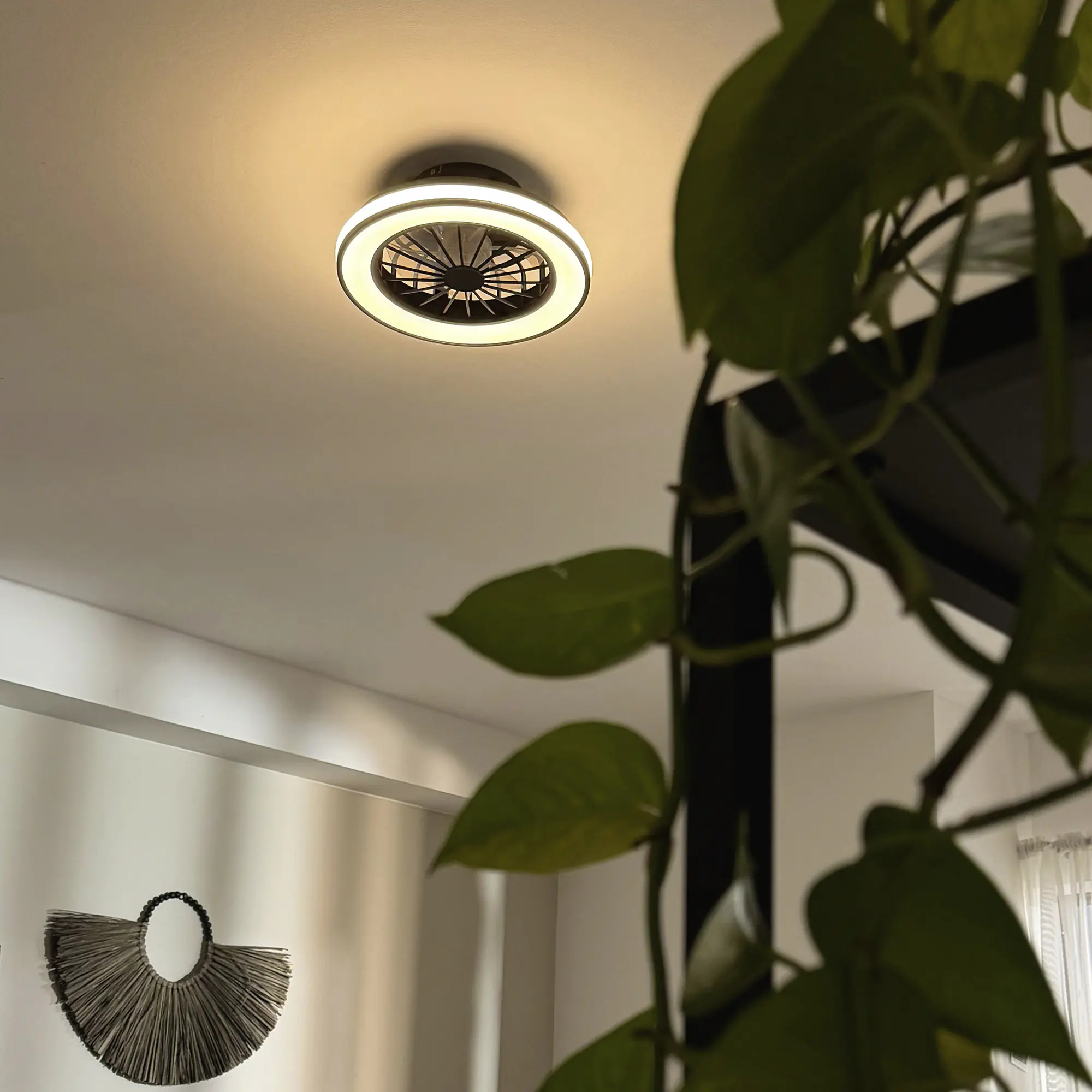 Briloner LED Deckenleuchte mit Ventilator Venturo Ø 38 cm 24 W schwarz matt dimmbar