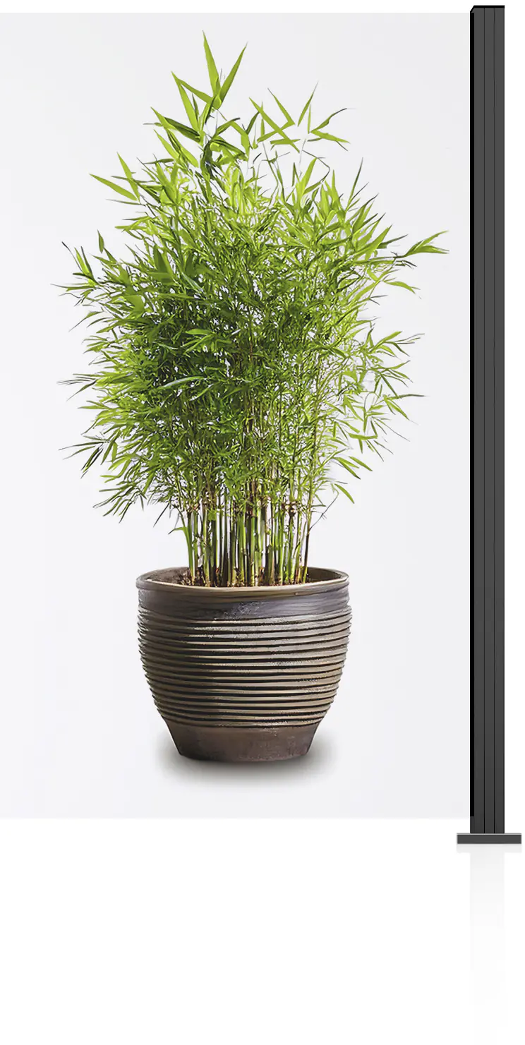 Ambiente Glaszaun Erweiterungsset Klarglas 187 x 107,2 cm anthrazit Ambiente Glaszaun Erweiterungsset Klarglas 187 x 107,2 cm anthrazit