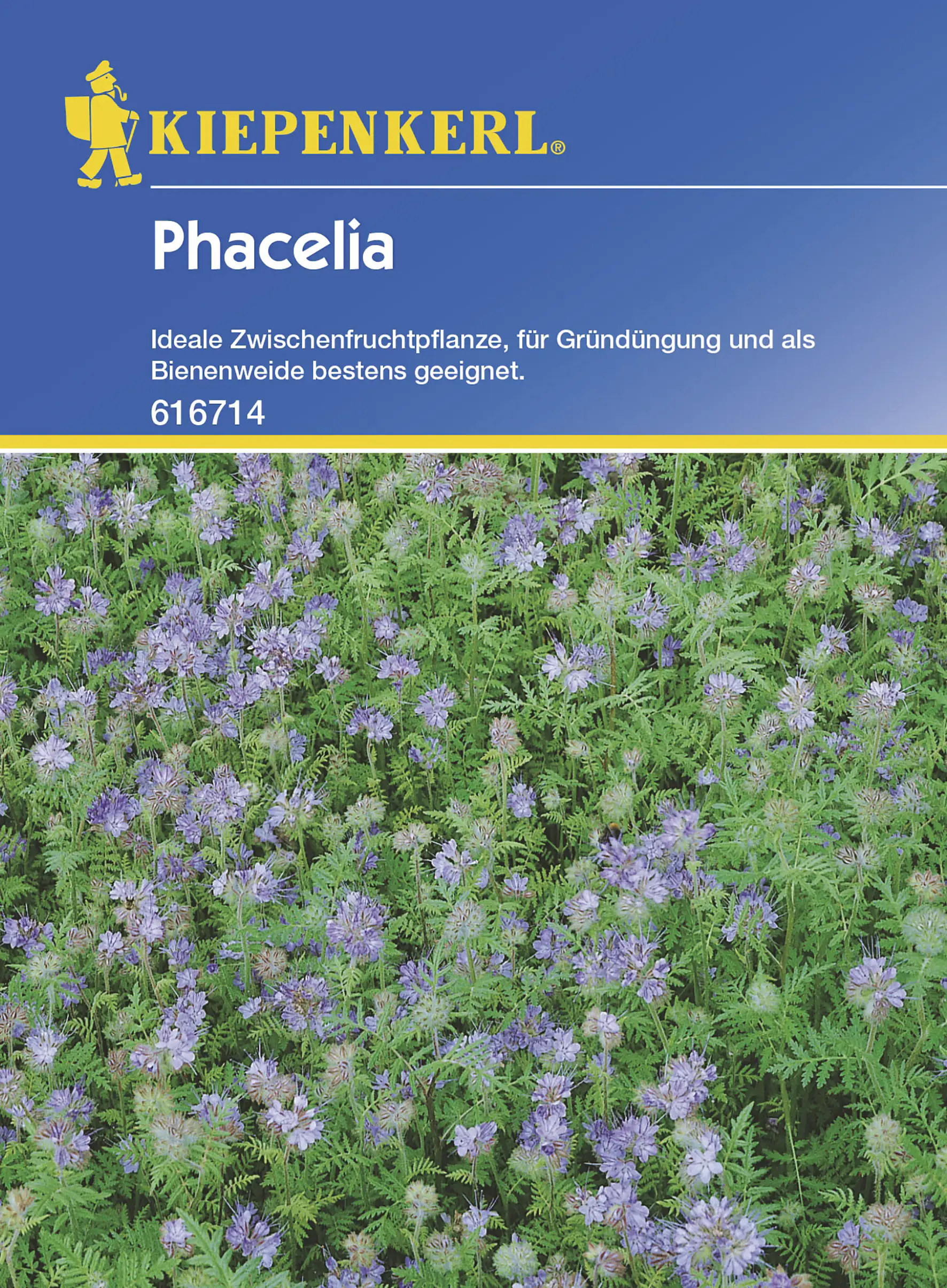 4000159616714 Kiepenkerl Phacelia 50 Gr Inhalt: 50 g