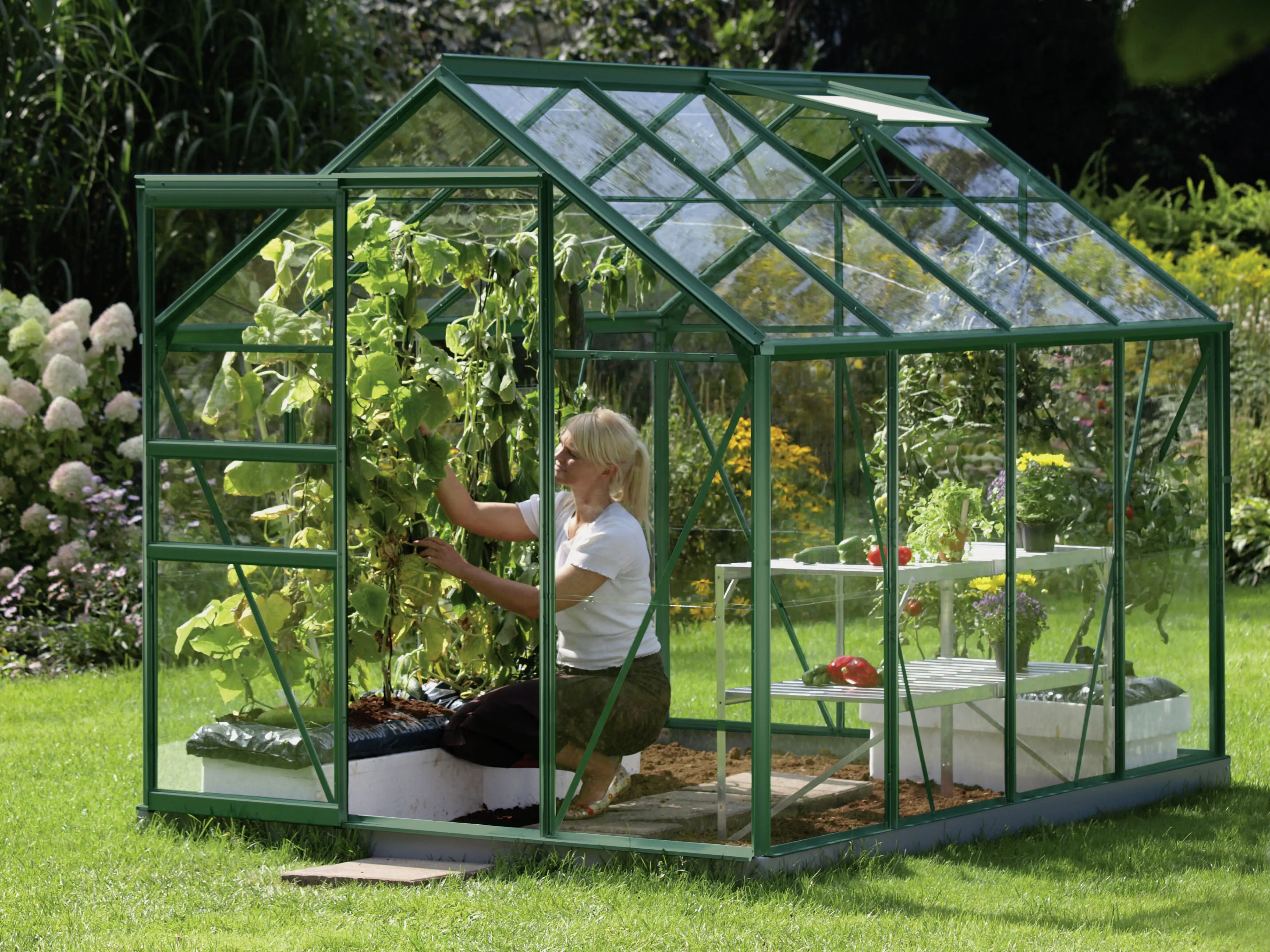 Vitavia Gewächshaus Venus 5000 192 x 254 cm 3 mm Sicherheitsglas