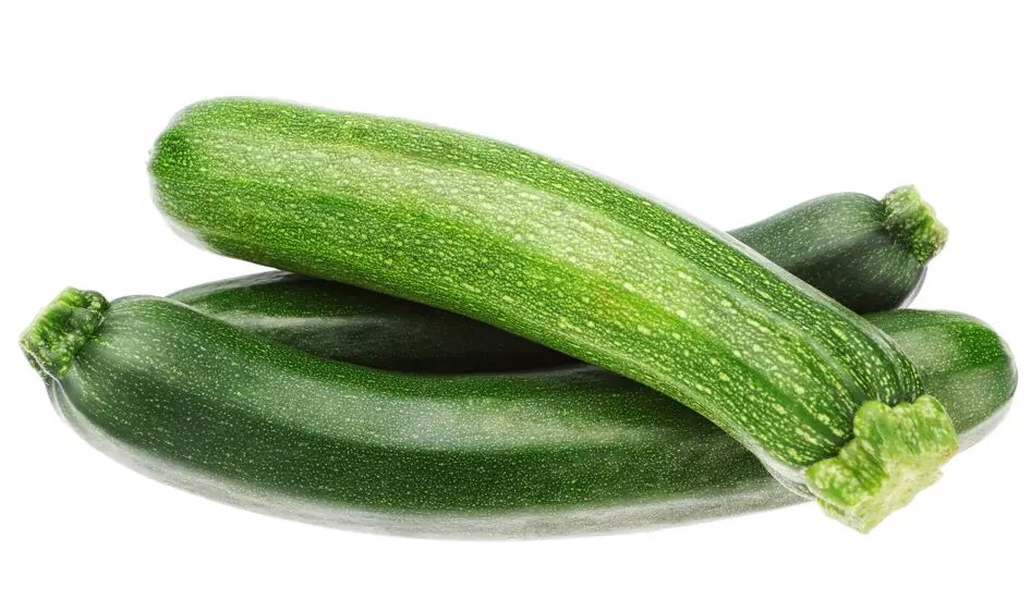 Resistente Gemüsepflanzen Zucchini Cucurbita pepo grün 12 cm Topf