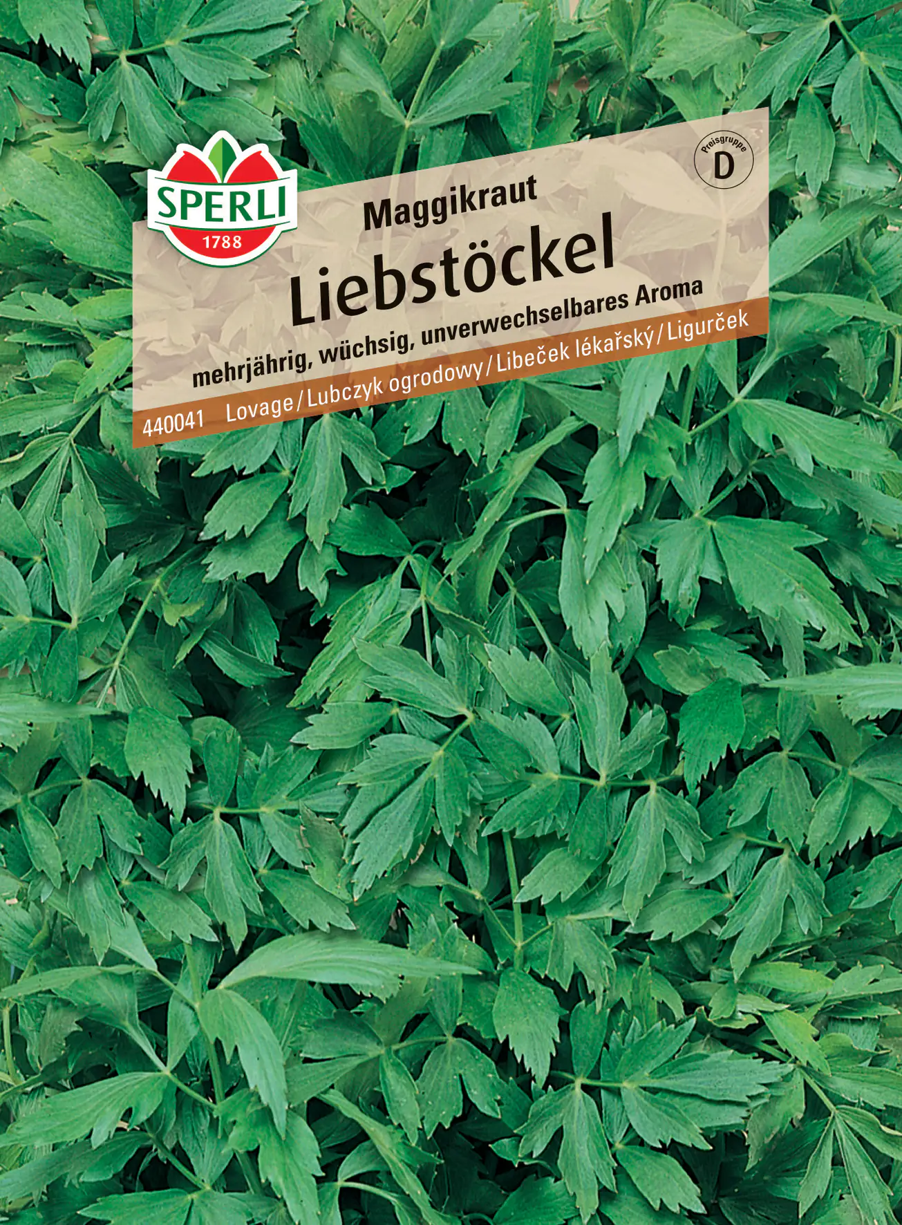 Sperli Liebstöckel Maggikraut Sperli Liebstöckel Maggikraut