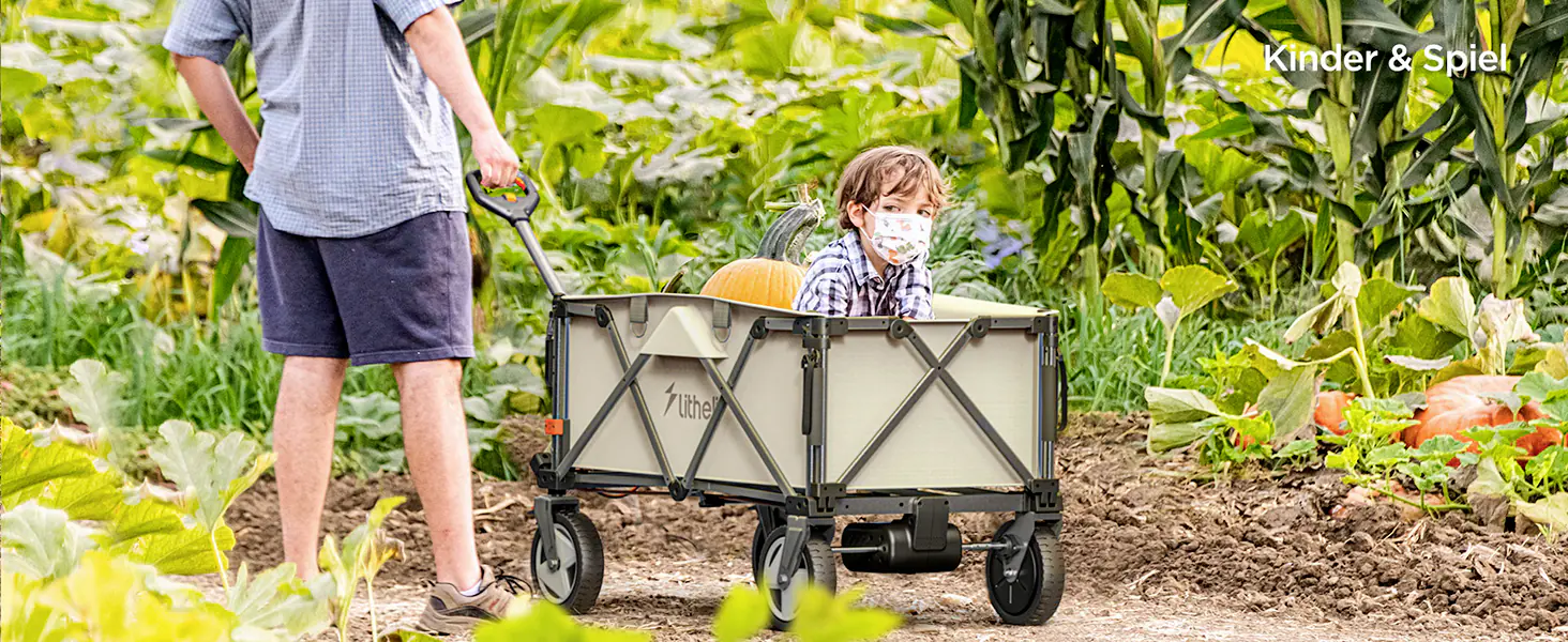 Litheli Bollerwagen 450 W W1 Pro, inkl. Akku 4.0 Ah