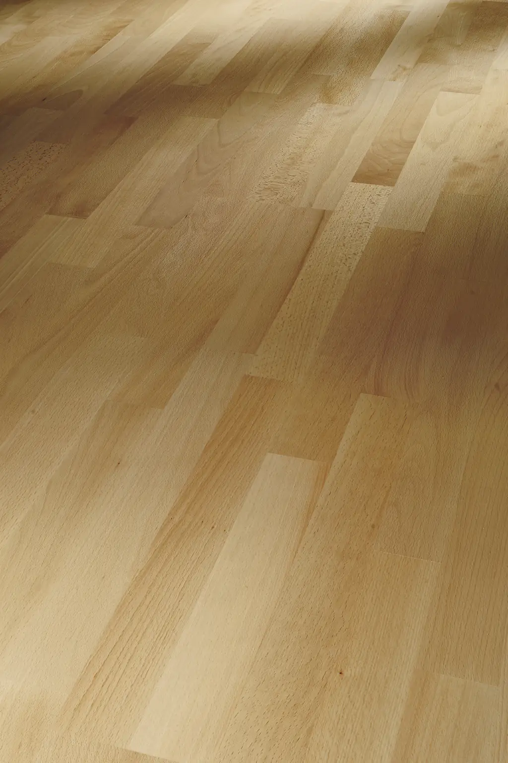 Parador Parkett Basic 11-5 Natur Buche lackversiegelt matt