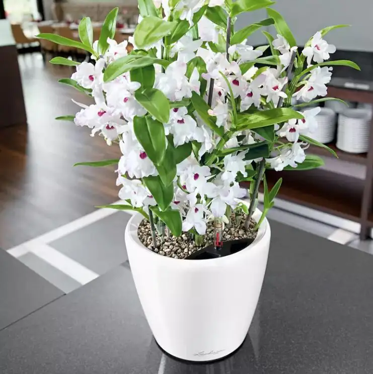 Lechuza Pflanzgefäß Classico Premium 35 weiß 