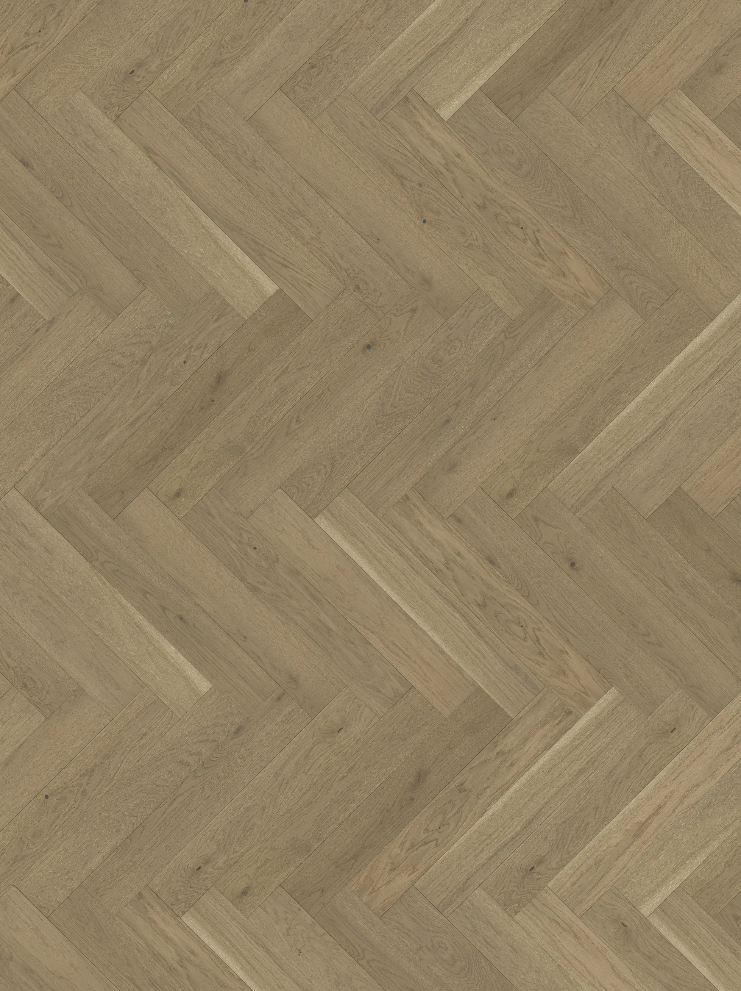 Parador Parkett Trendtime Eiche nougat matt Parador Parkett Trendtime Eiche nougat matt