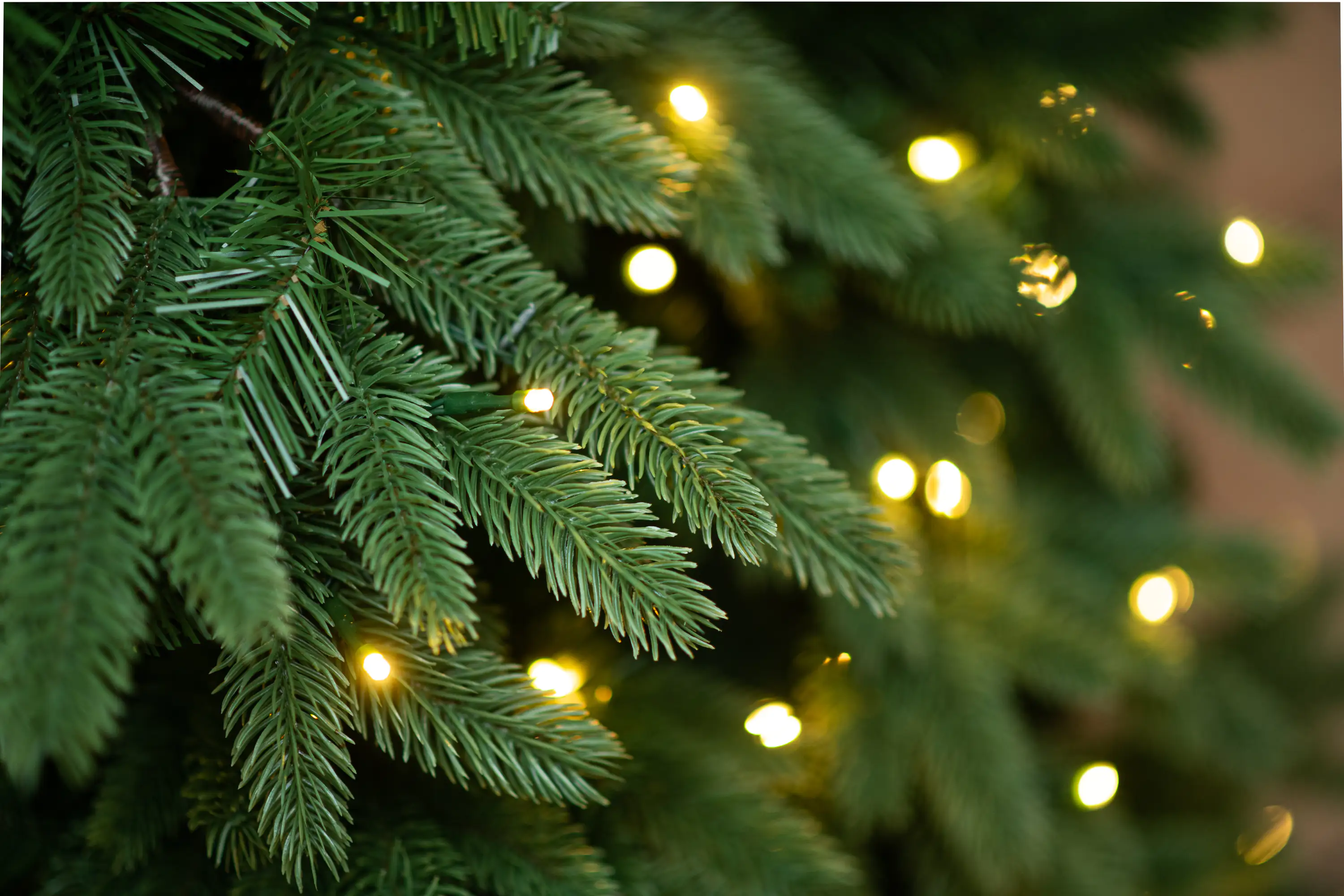 4895215153810_6 Evergreen Weihnachtsbaum Roswell Kiefer 150 cm beleuchtet