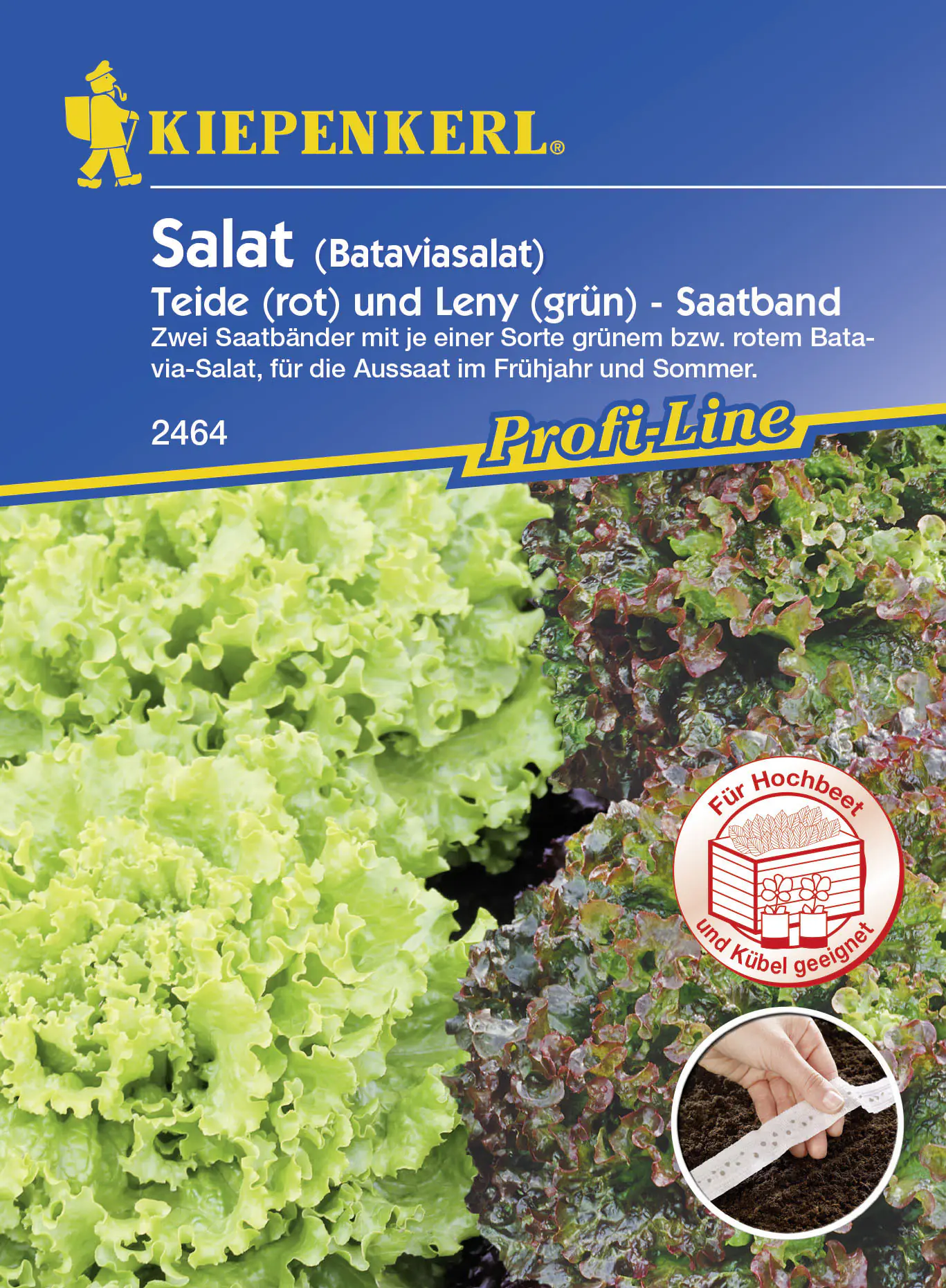 Kiepenkerl Batavia-Salat Teide Leny Lactuca sativa, Inhalt: 2 x 2,5 Meter Saatreihe