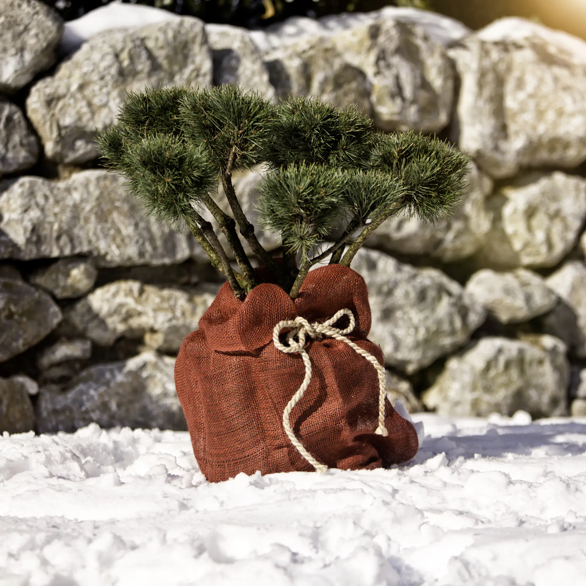 Windhager Jutezopf 12 mm x 2 m