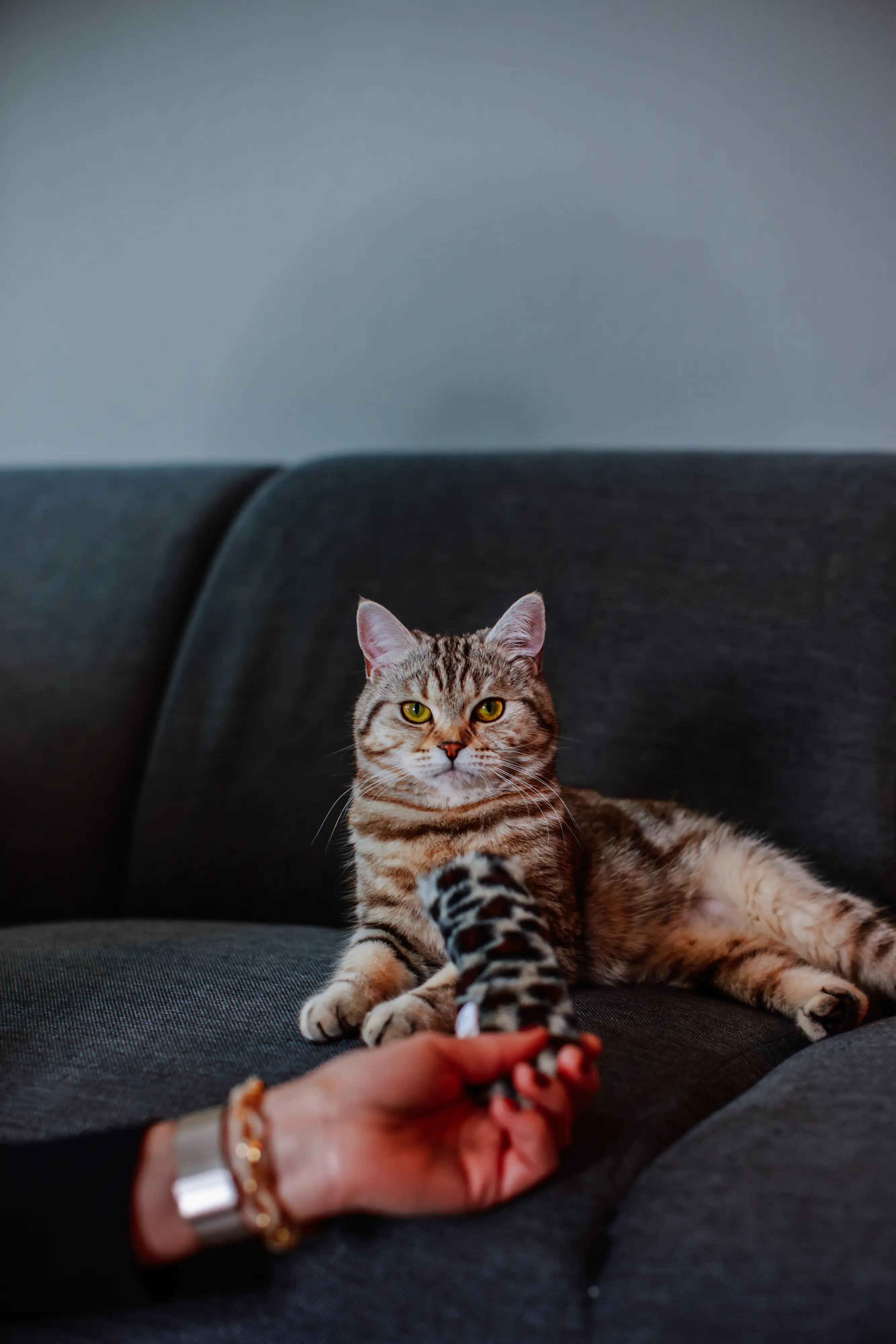 Nobby Baldrian-Kissenrolle 19 x 5 cm