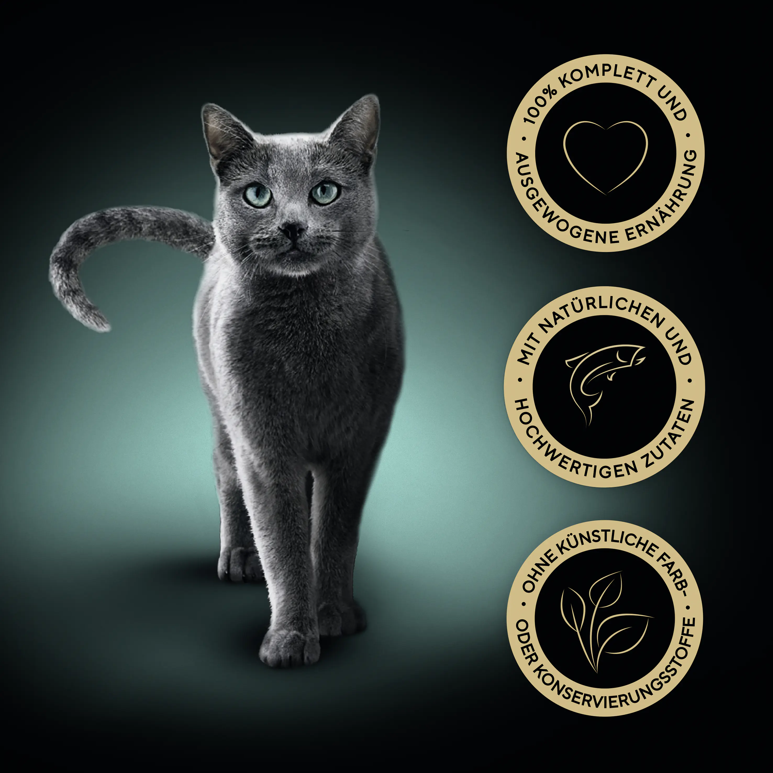 Sheba Selection in Sauce Katzennassfutter Adult 85 g Lachs