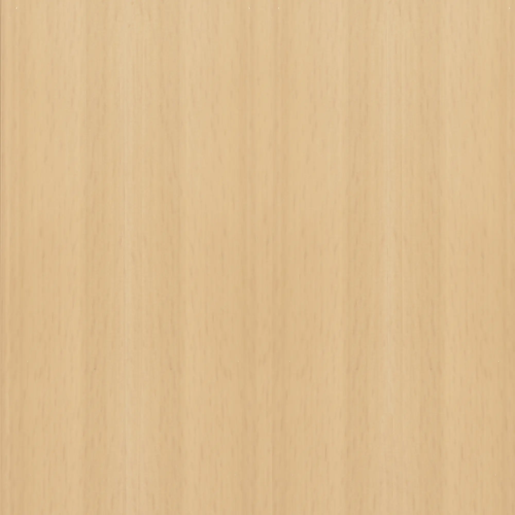 FN Neuhofer Klemmsockelleiste 250 cm 50 x 22,5 mm Buche