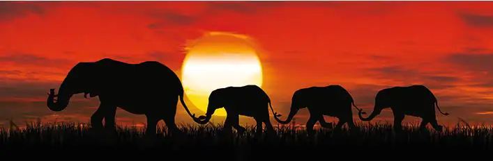 4251050587089 Deco-Panel Bild - Sunset Elefants 90 x 29 cm