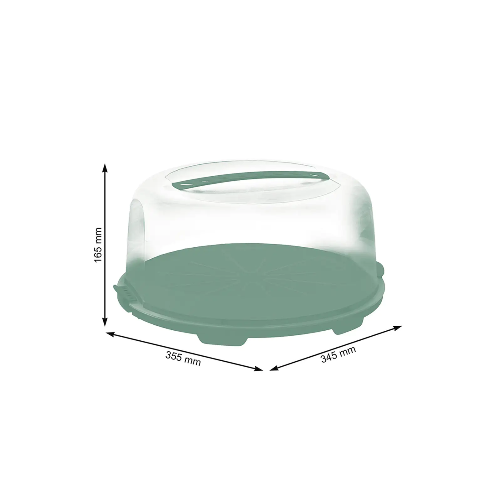 Rotho Tortenglocke Fresh hoch mistletoe grün