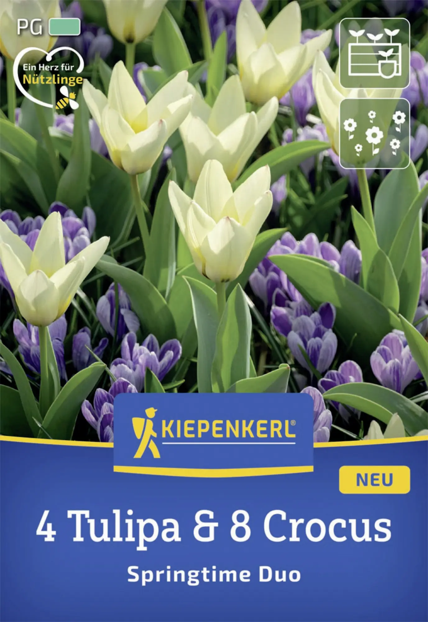 Kiepenkerl Herbstblumenzwiebelmischung Springtime Duo 12 Stück