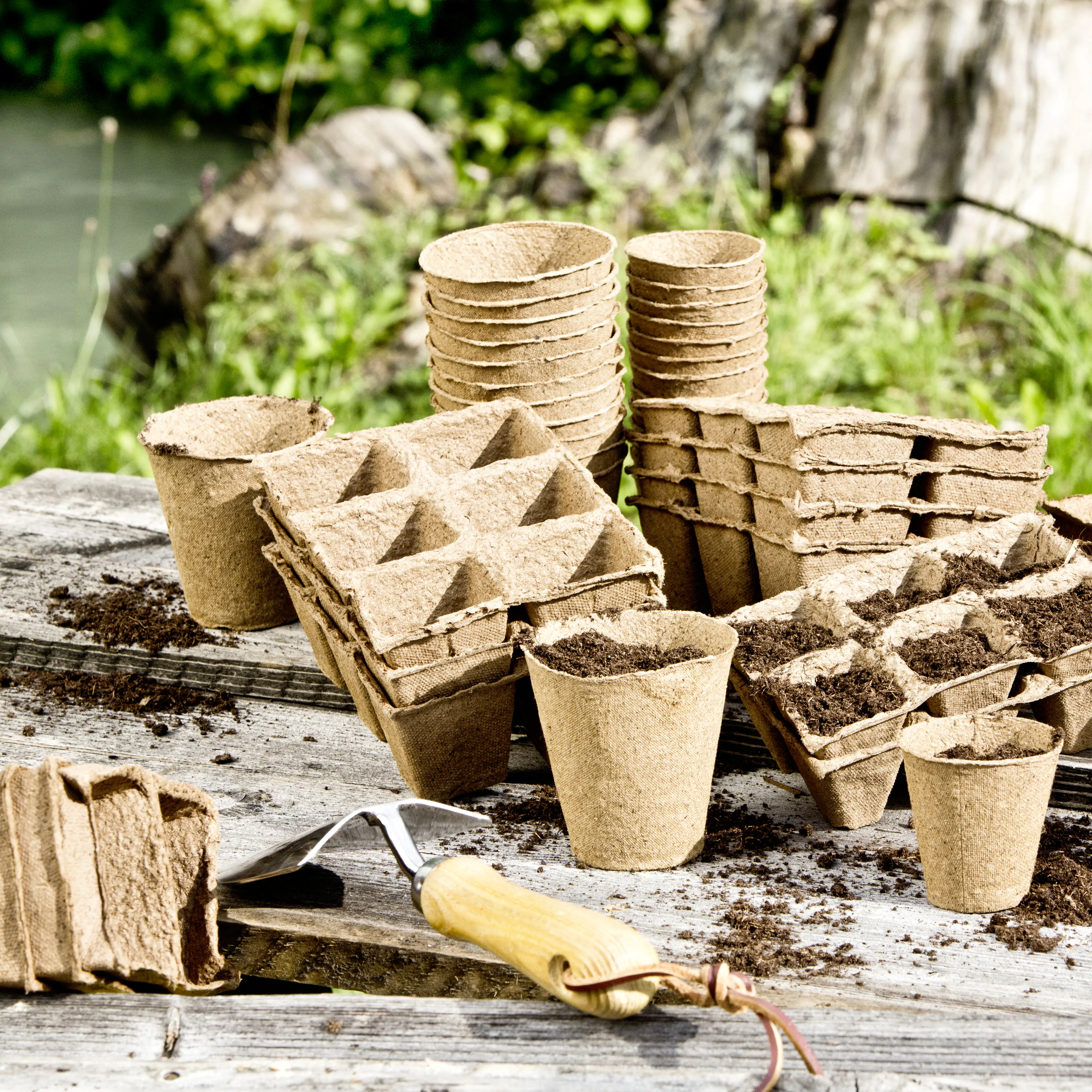 Windhager Anzuchttöpfe Ø 6 cm, 24 Stück