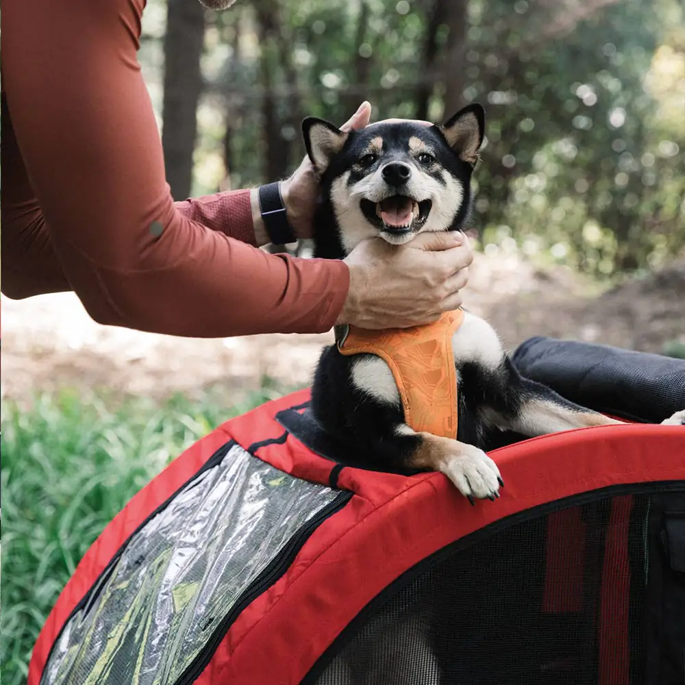 Nobby Fahrradanhänger Senlima für Hunde bis max. 35 kg