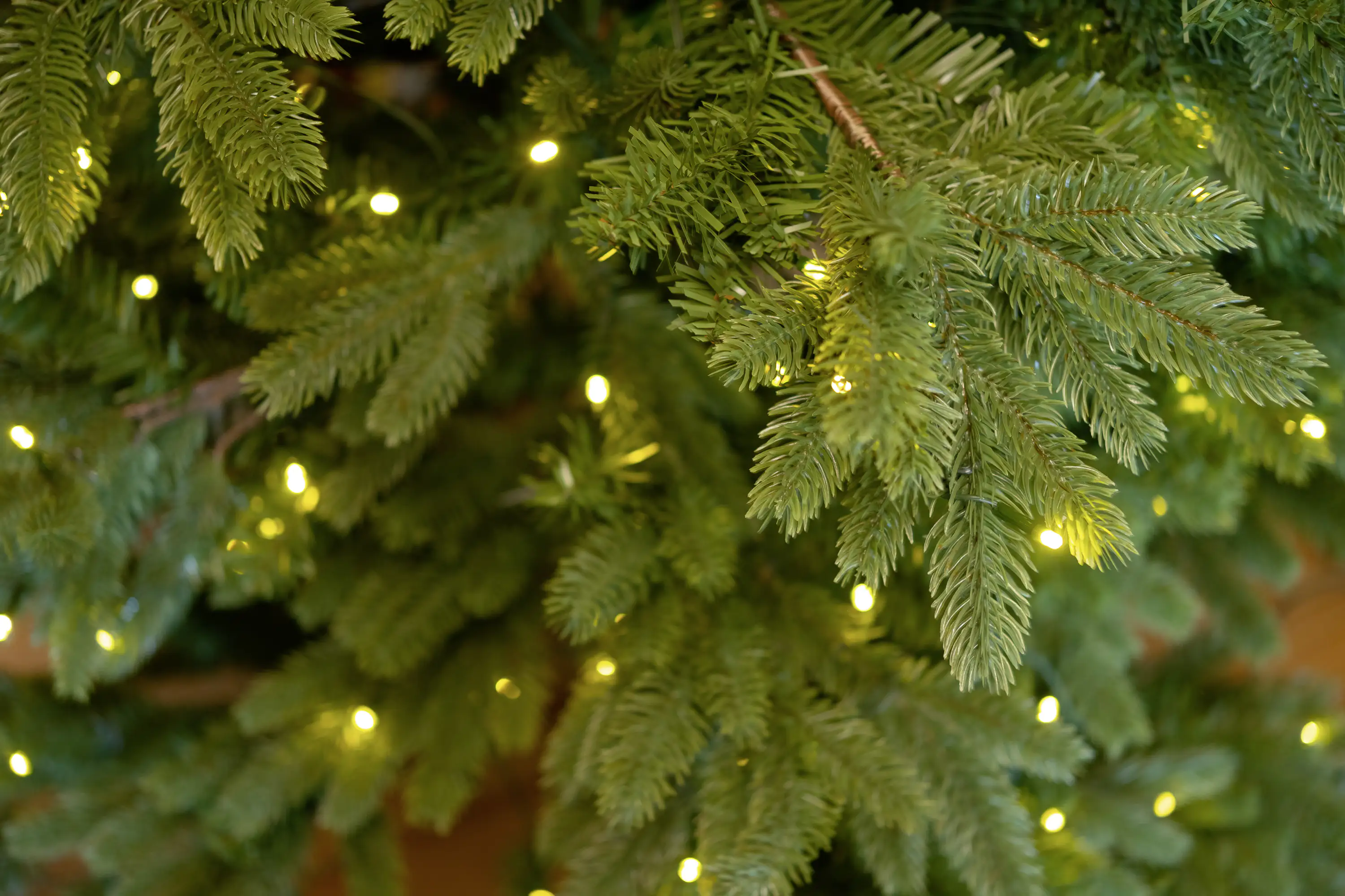 Evergreen Weihnachtsbaum Roswell Kiefer 150 cm beleuchtet Evergreen Weihnachtsbaum Roswell Kiefer 150 cm beleuchtet