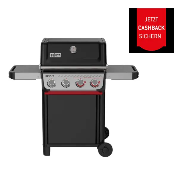 Weber Gasgrill Spirit E425 Grillfläche: 62 x 44 cm
