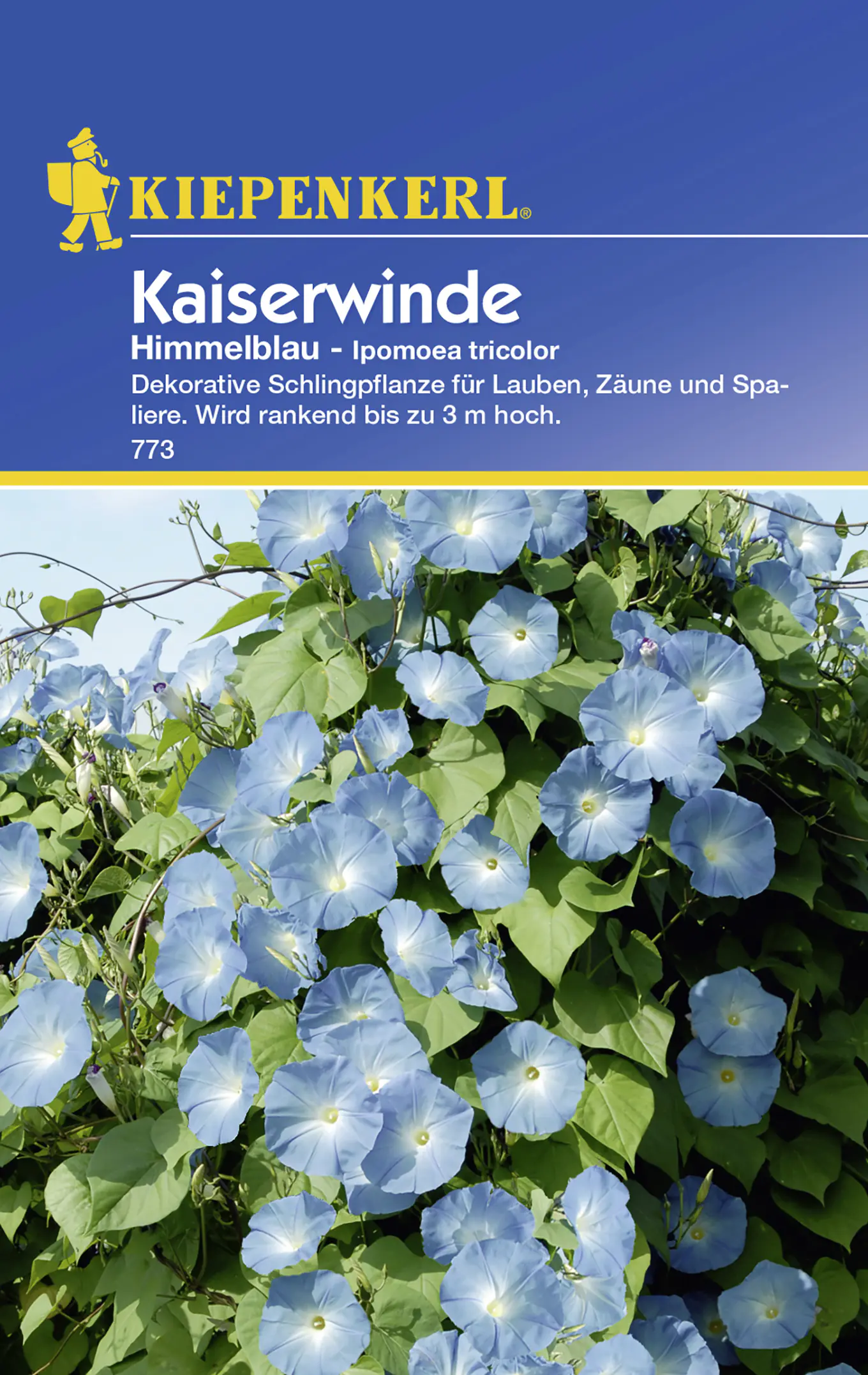 Kiepenkerl Kaiserwinde Himmelblau Ipomoea tricolor, Inhalt: ca. 20 Pflanzen