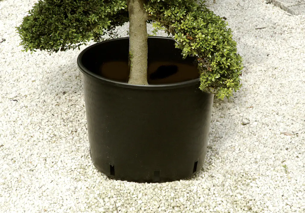 Floraworld Pflanzcontainer 5 L