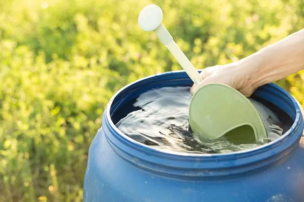 Nachhaltige Bewässerung