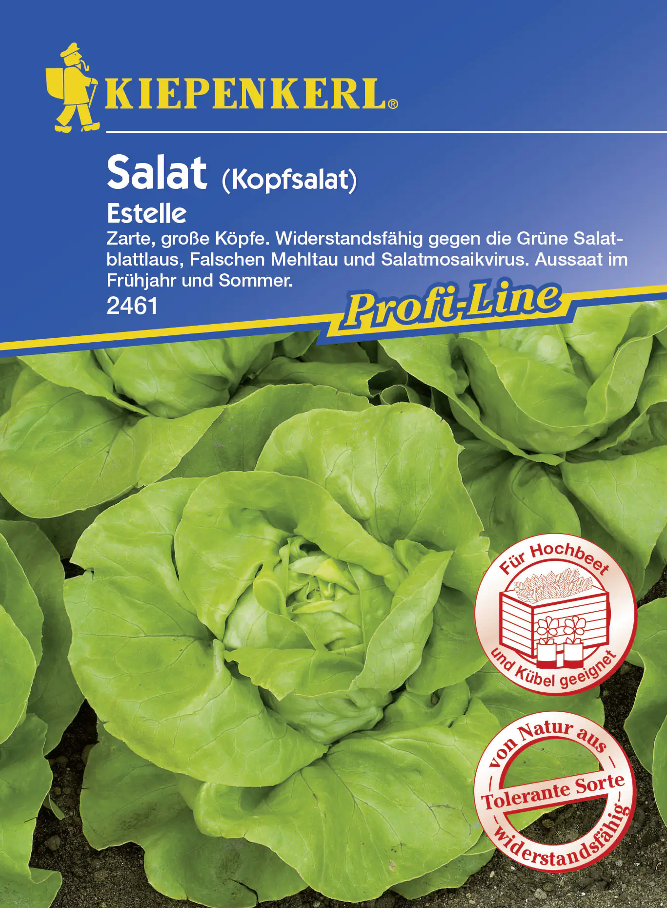 Kiepenkerl Kopfsalat Estelle Lactuca sativa var. capitata, Inhalt: ca. 100 Pflanzen