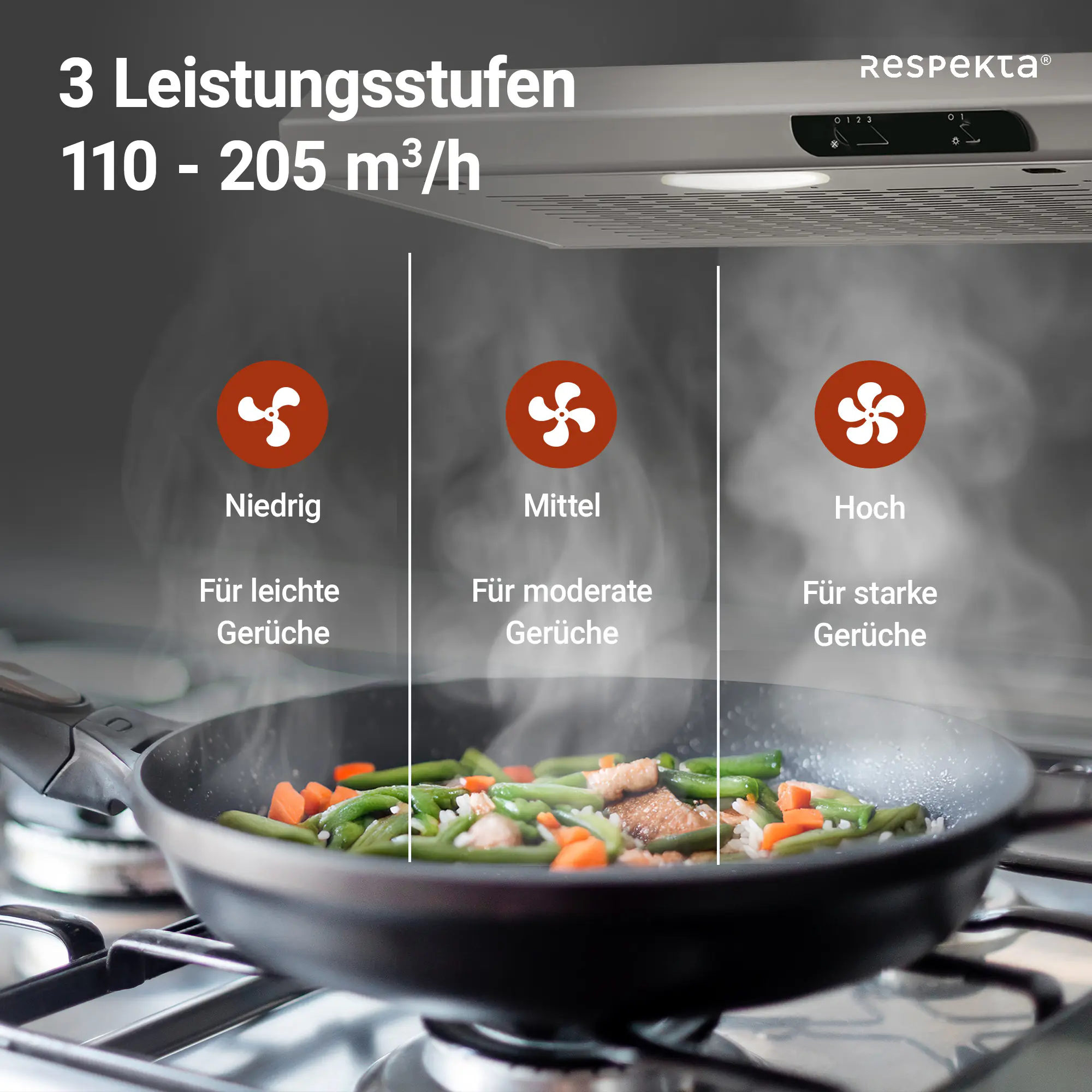 respekta Unterbauhaube 60 cm Typ / Modell: DH 640 IXL 60 cm respekta Unterbauhaube 60 cm Typ / Modell: DH 640 IXL 60 cm