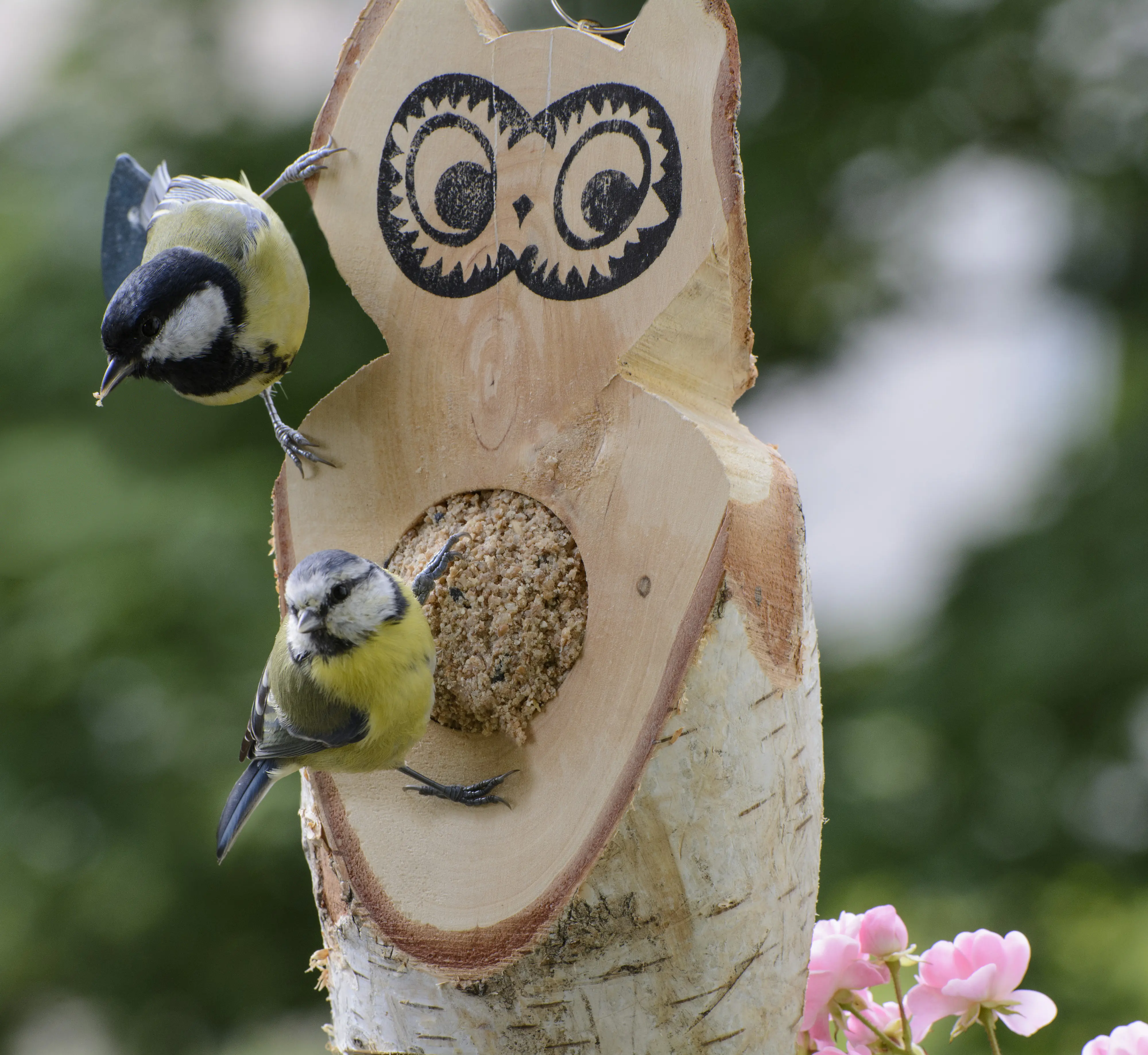 Dobar Vogel Futtereule 36 x 25 x 13 cm braun