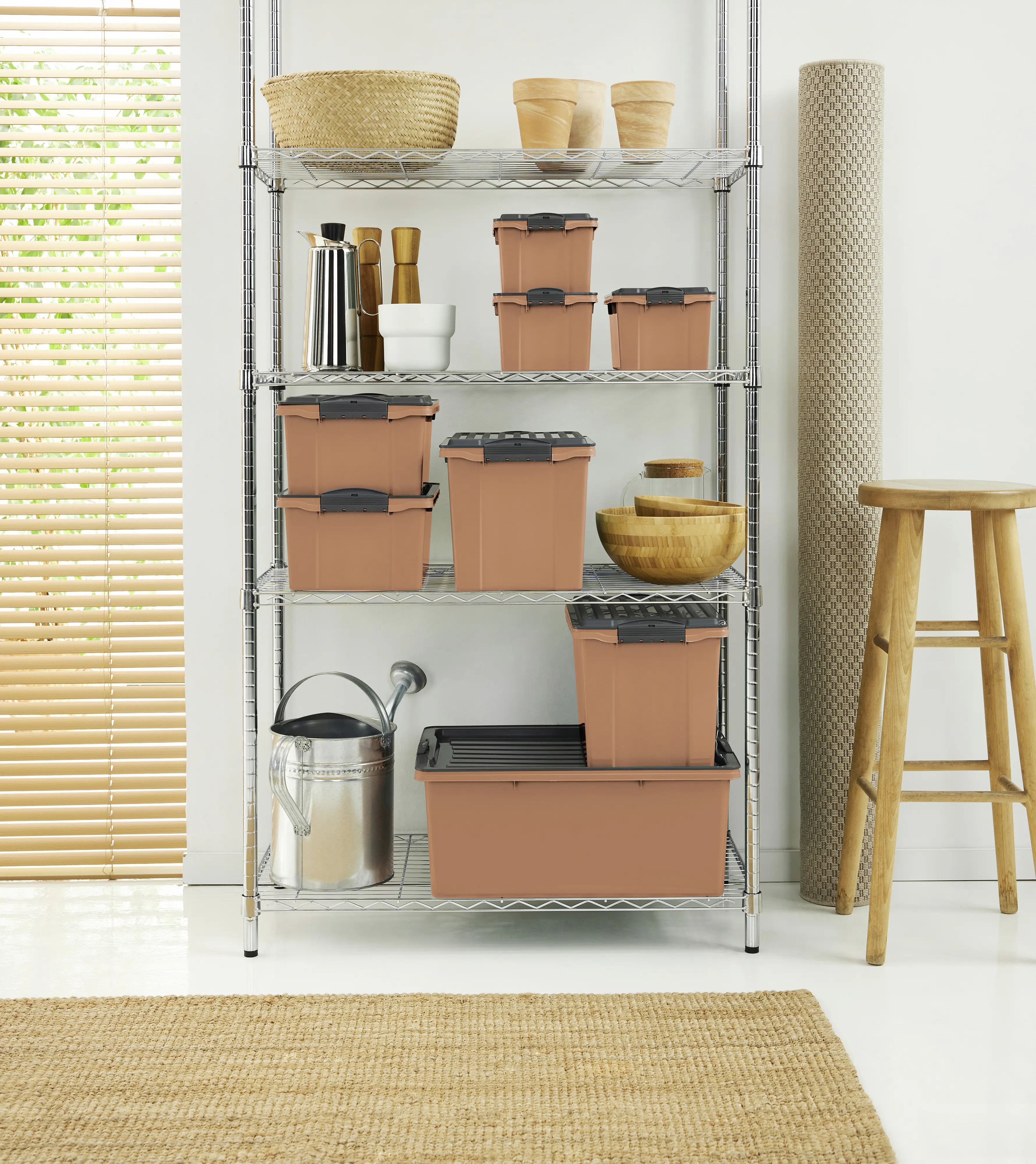 Rotho Aufbewahrungsbox Compact mit Deckel 27 x 18,5 cm 4,5 L clay koralle