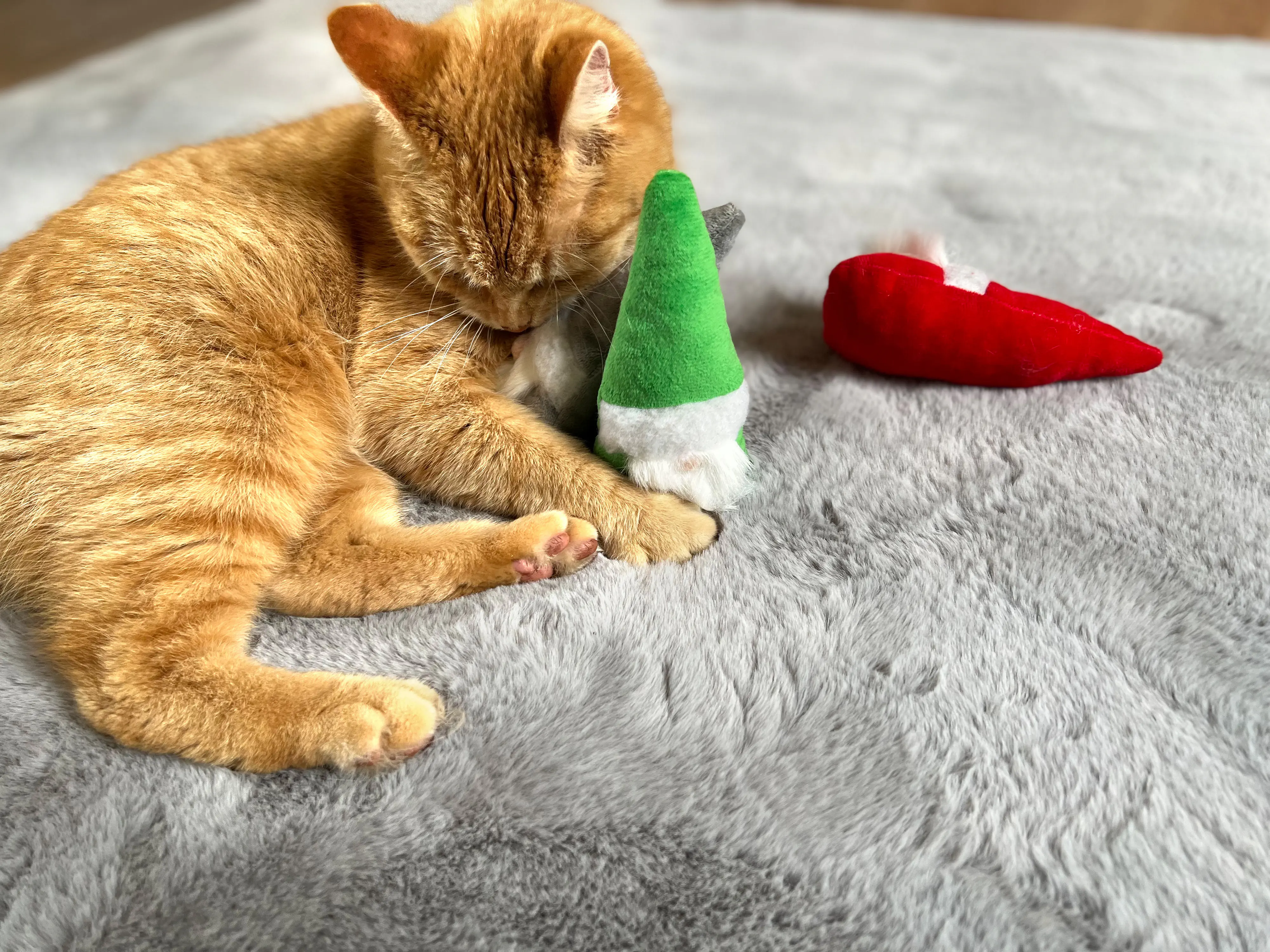 Aumüller Katzenspielzeug Weihnachtswichtel 15 cm - 3 Stk. Aumüller Katzenspielzeug Weihnachtswichtel 15 cm - 3 Stk.