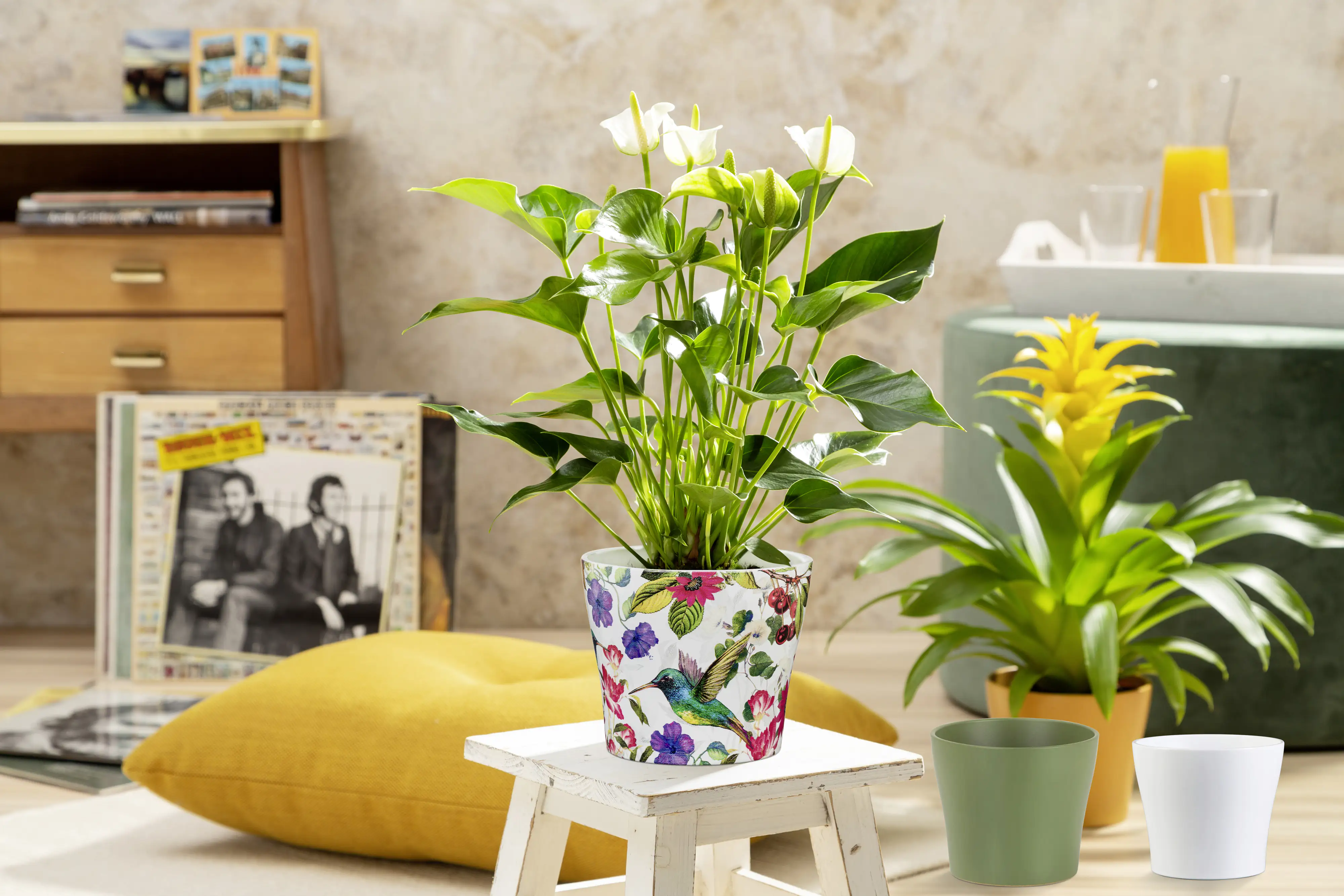Scheurich Übertopf Serie 808 Ø 19 x 16 cm curcuma Scheurich Übertopf Serie 808 Ø 19 x 16 cm curcuma