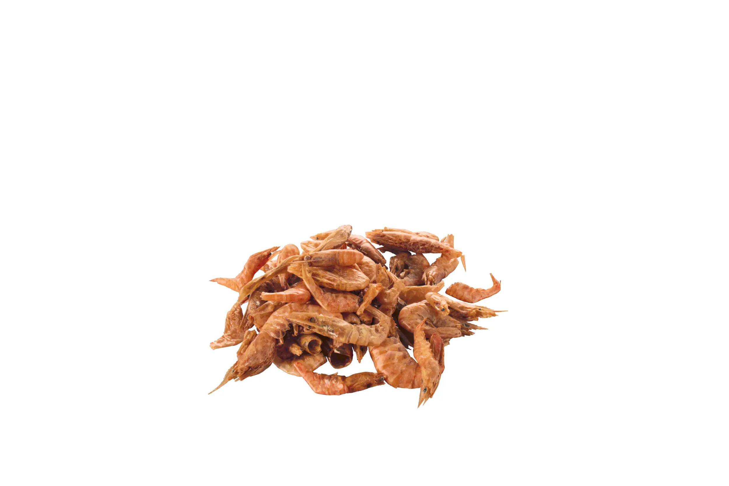 Tetra ReptoDelica Shrimps 250 ml