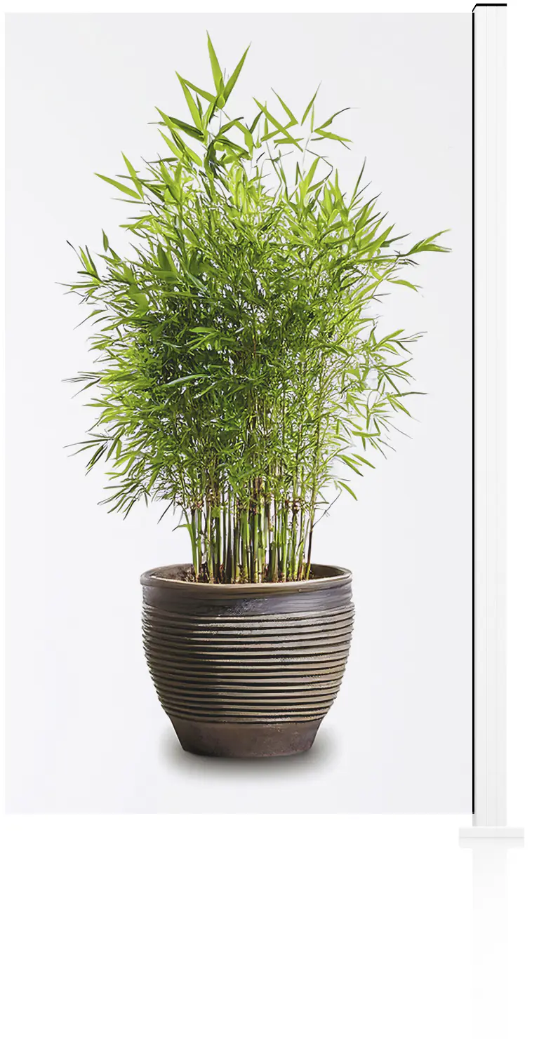 Ambiente Glaszaun Erweiterungsset Klarglas 187 x 107,2 cm weiß