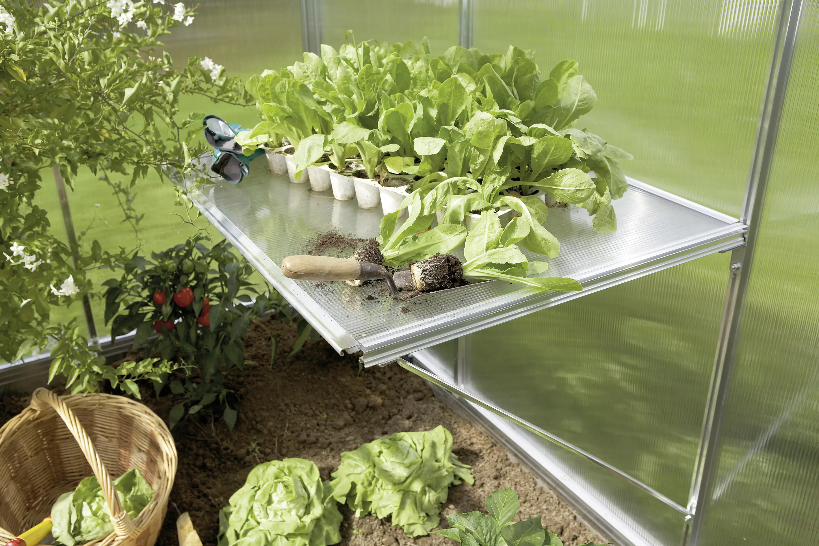 Gutta Ausziehtisch passend für Gutta Gewächshaus Typ 2 bis Typ 6, 77 x 3 x 68 cm