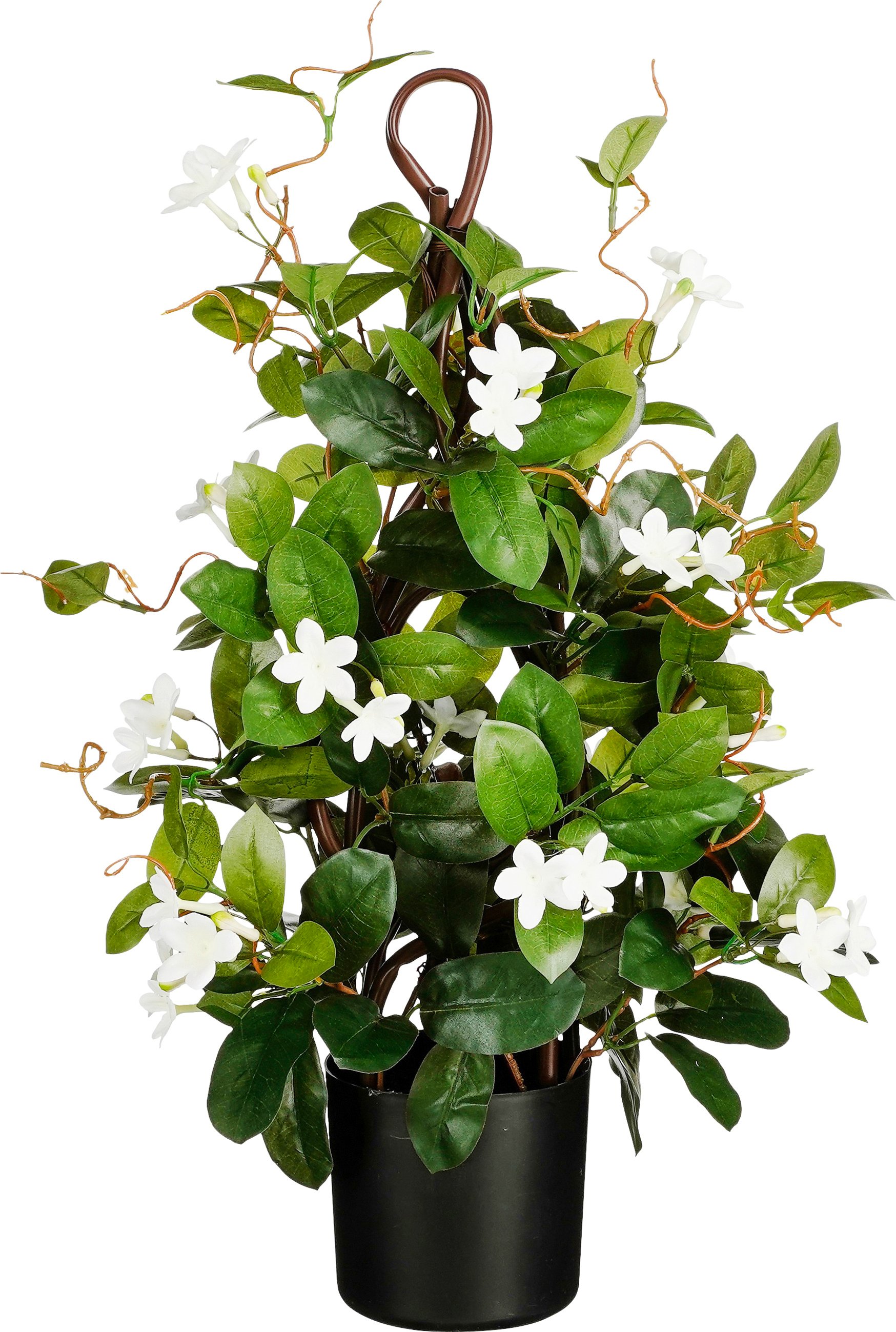 Mica Decorations Stephanotis im Topf Ø 30 x 60 cm grün
