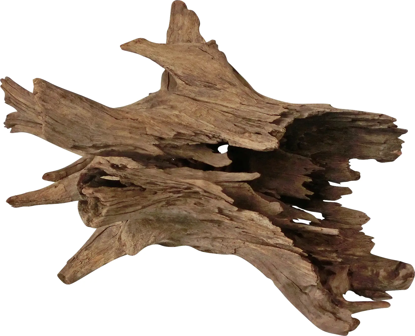 Orbit Corbo-Wurzel L 30 x 40 x 50 cm