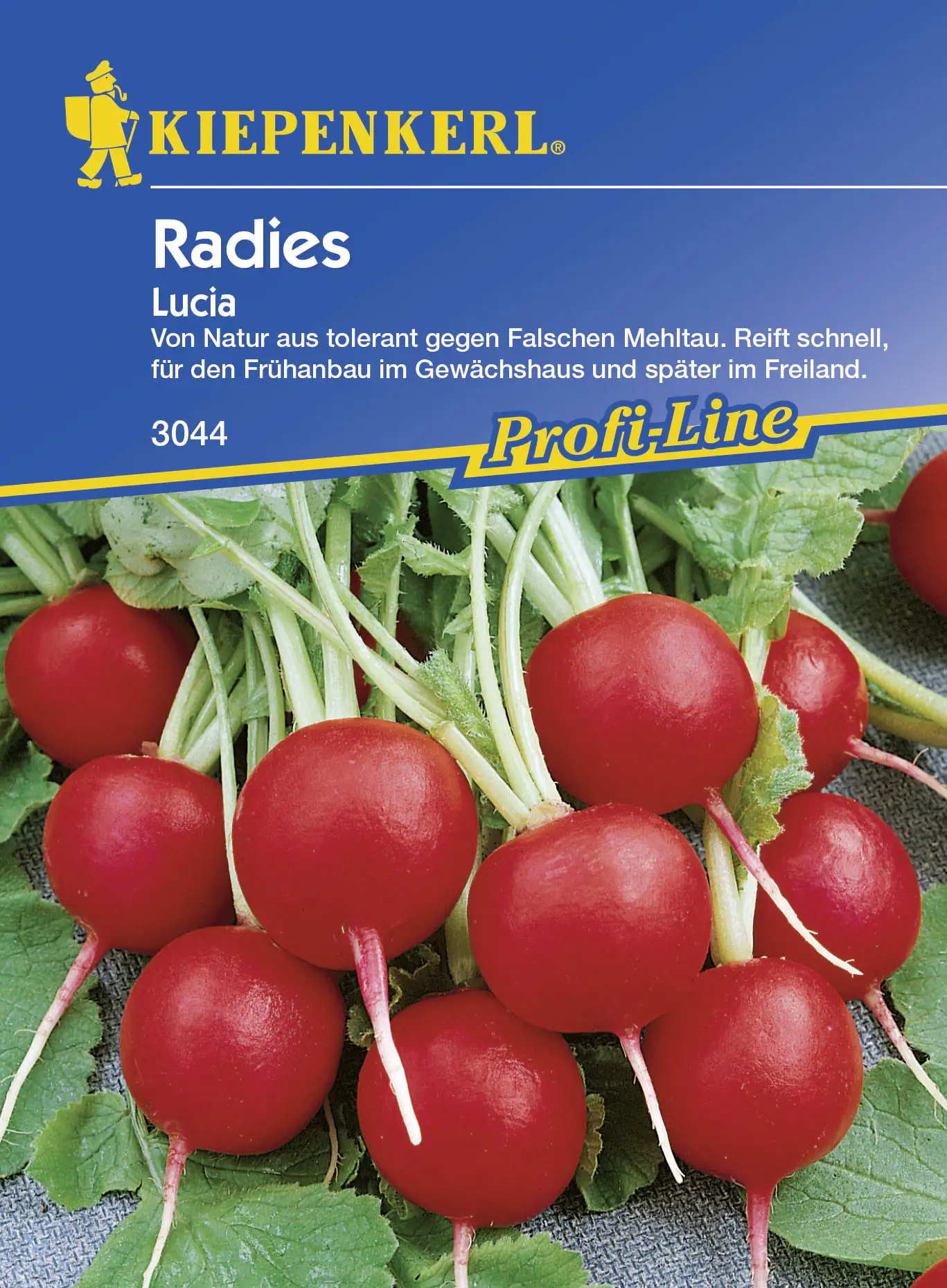 Kiepenkerl Radieschen Lucia Raphanus sativus var. sativus, Inhalt: ca. 10 lfd. Meter Kiepenkerl Radieschen Lucia Raphanus sativus var. sativus, Inhalt: ca. 10 lfd. Meter