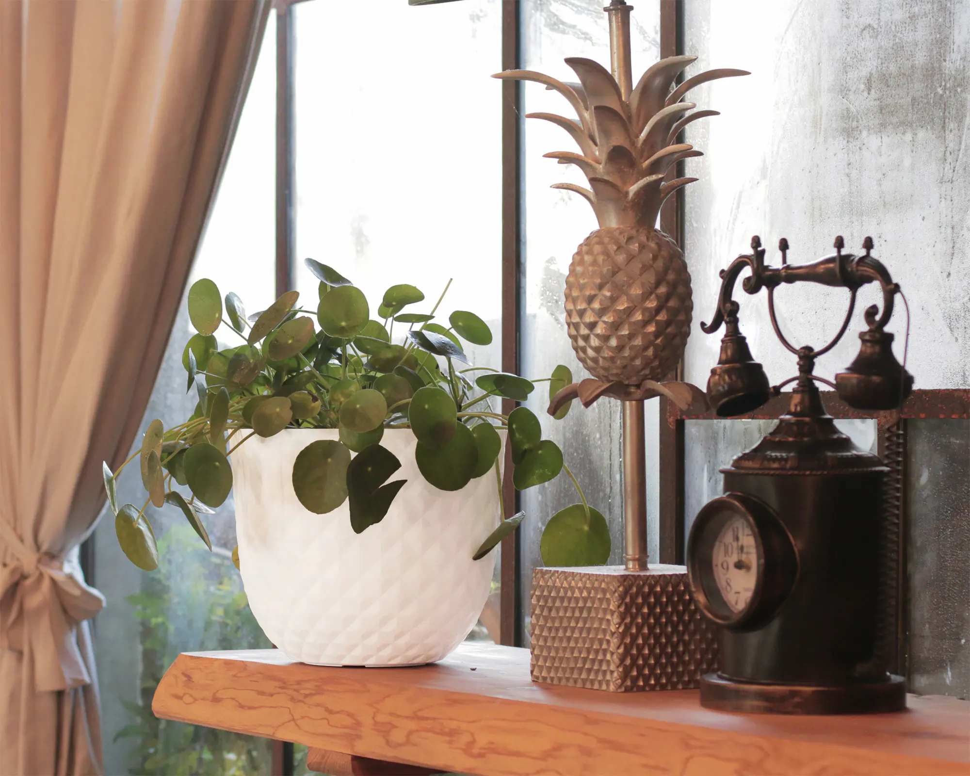 Artevasi Pflanztopf Havana Tropical Kunststoff grau matt Ø 20 x 17 cm