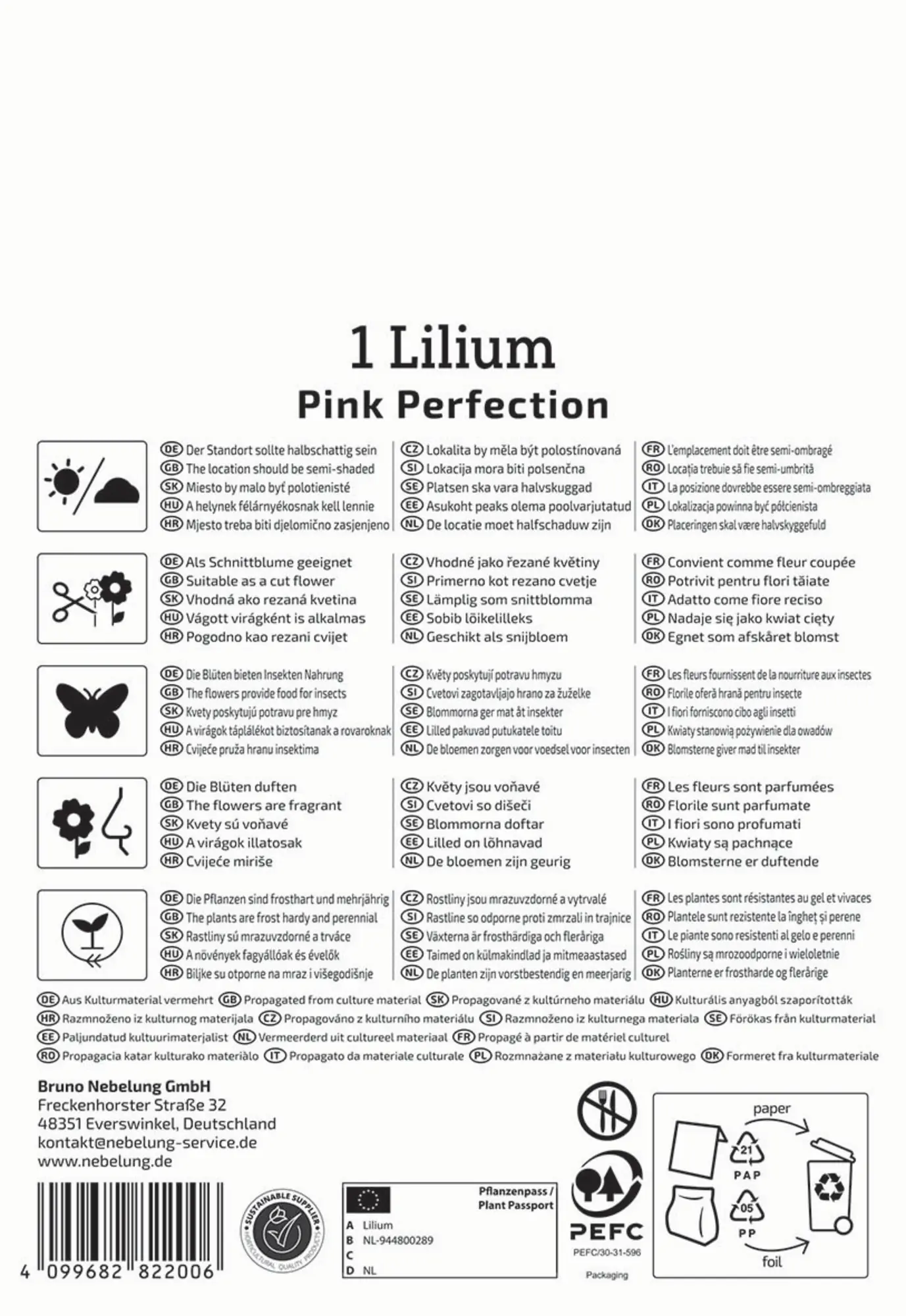 Kiepenkerl Frühjahrsblumenzwiebel Trompeten-Lilie Pink Perfektion 1 Stück