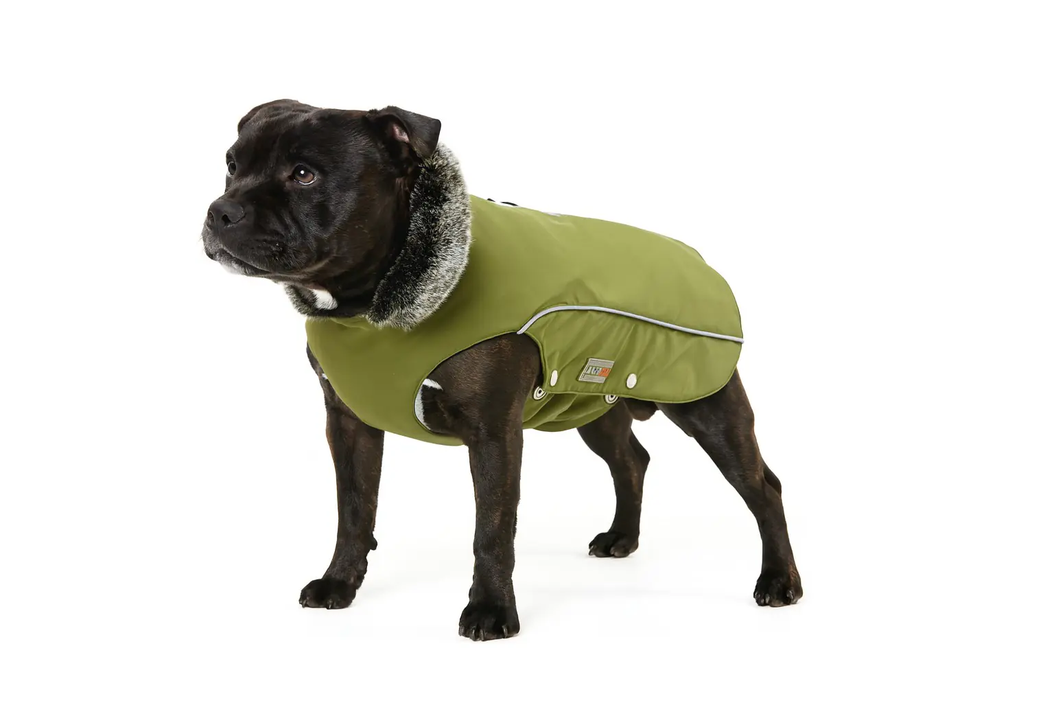 Wolters Hundebekleidung Winterjacke Amundsen olive Wolters Hundebekleidung Winterjacke Amundsen olive