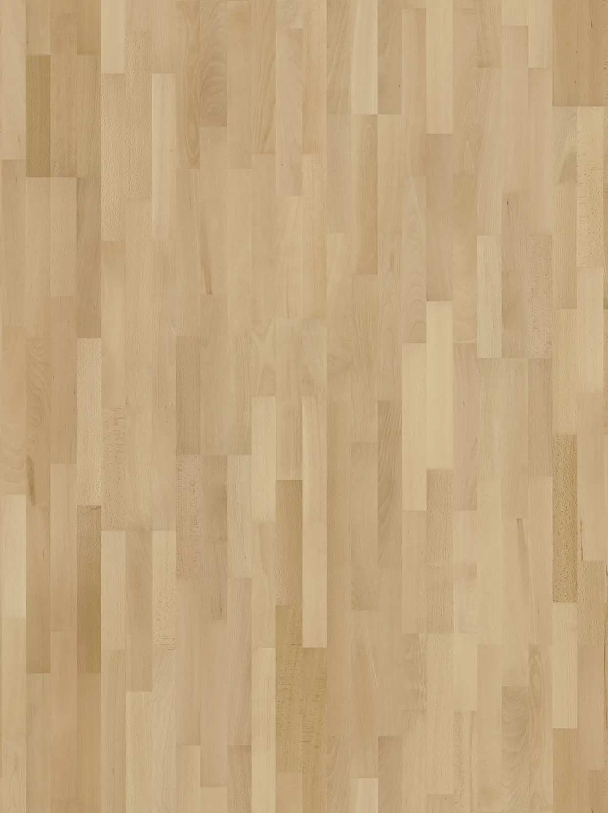 Parador Parkett Basic 11-5 Natur Buche lackversiegelt matt