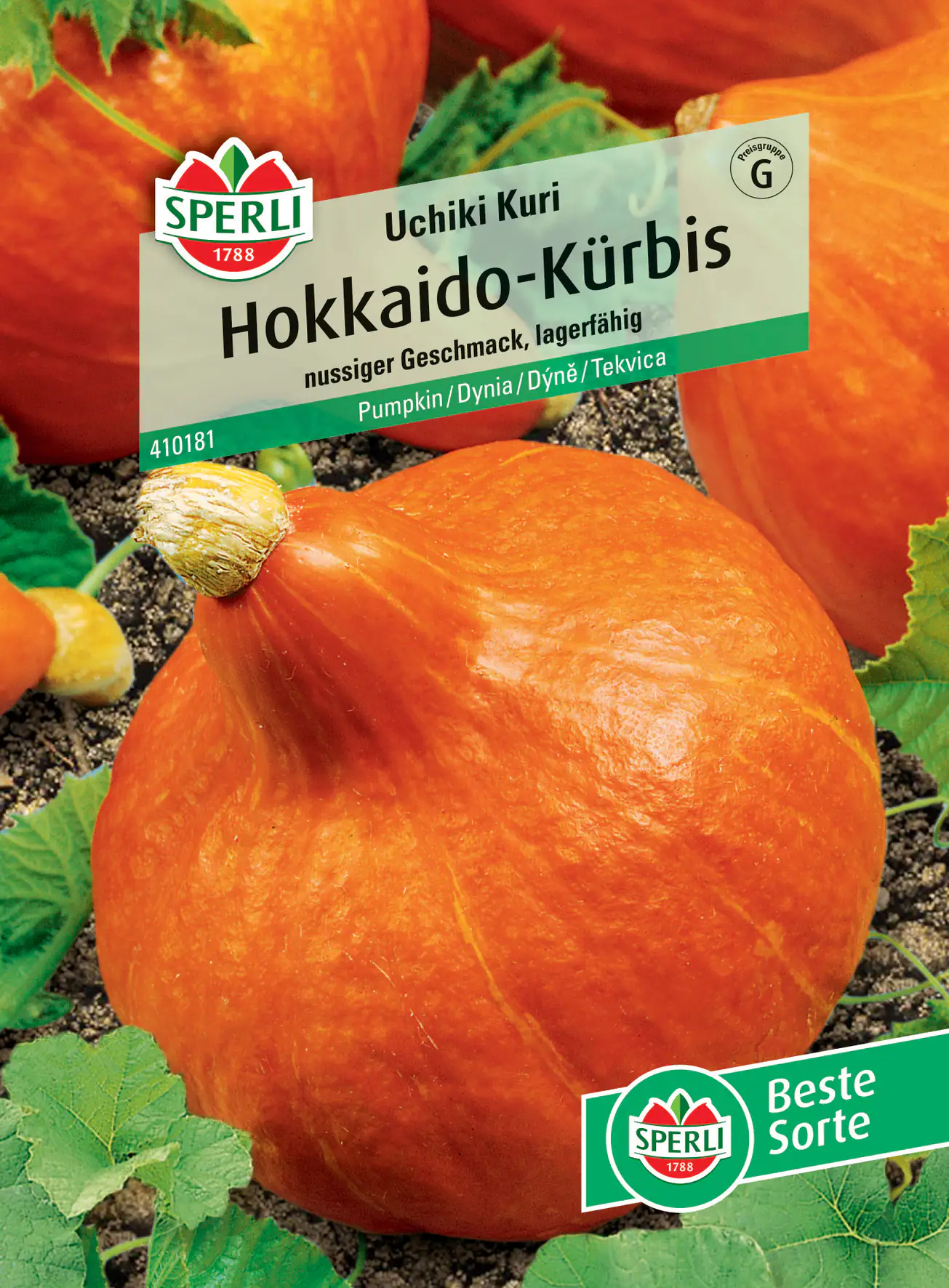 Sperli Hokkaido-Kürbis Uchiki Kuri