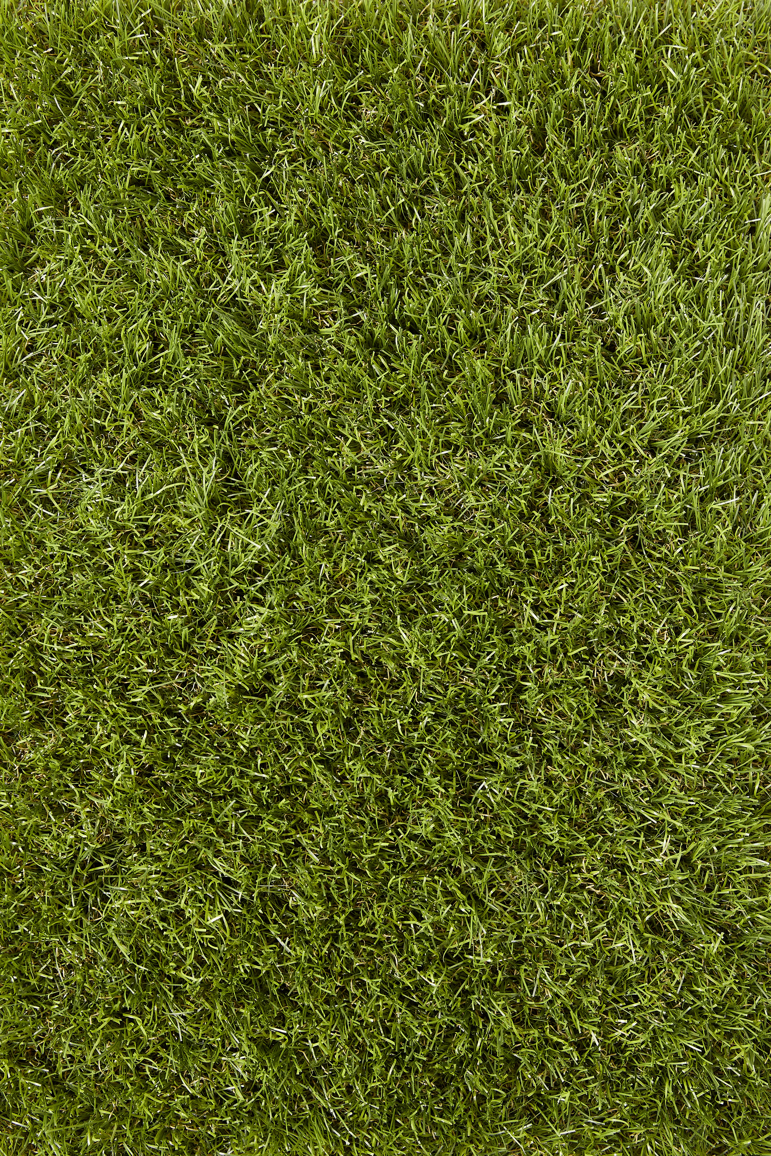 Kunstrasen Adelaide grün 4 m breit (Meterware)