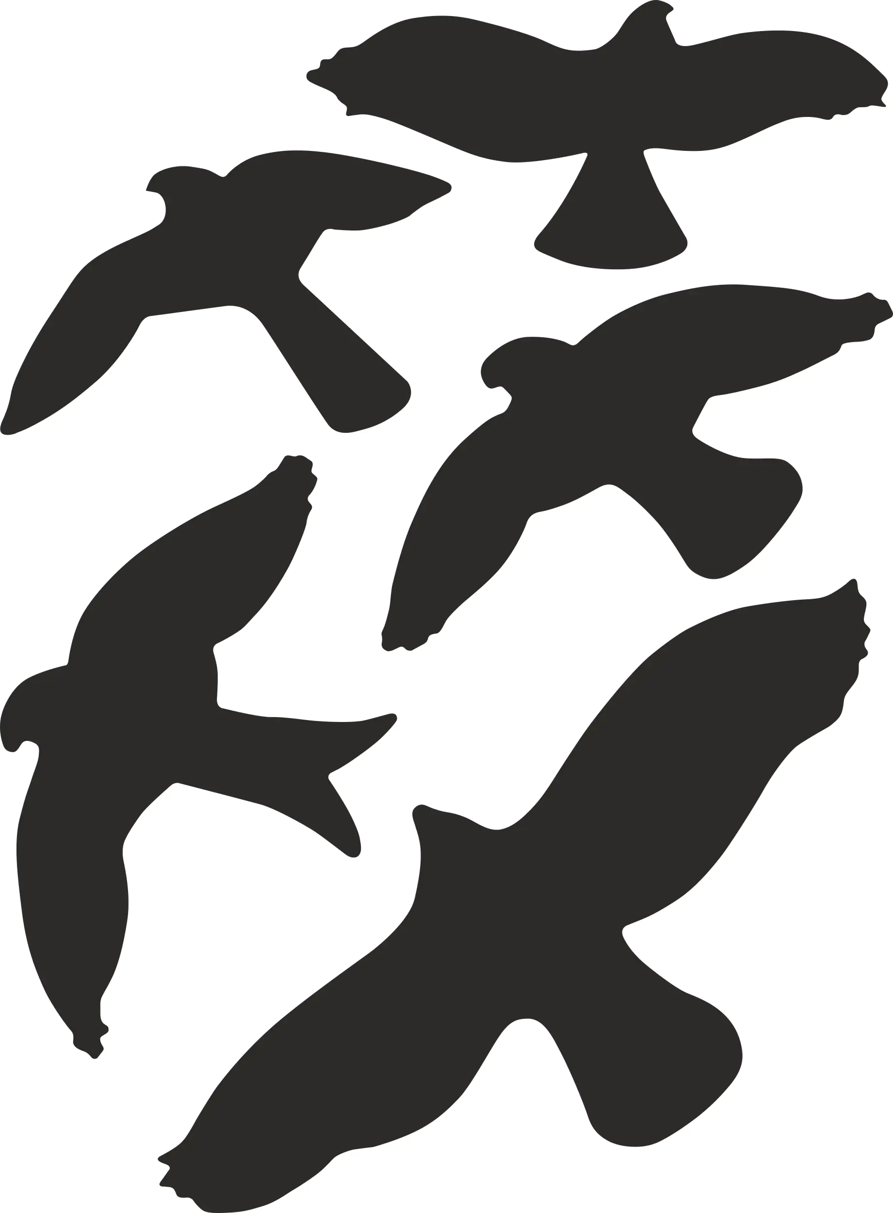 Hermann Schütz Aufkleber Kontur Vogel-Sortiment 5teilig  5 Motive