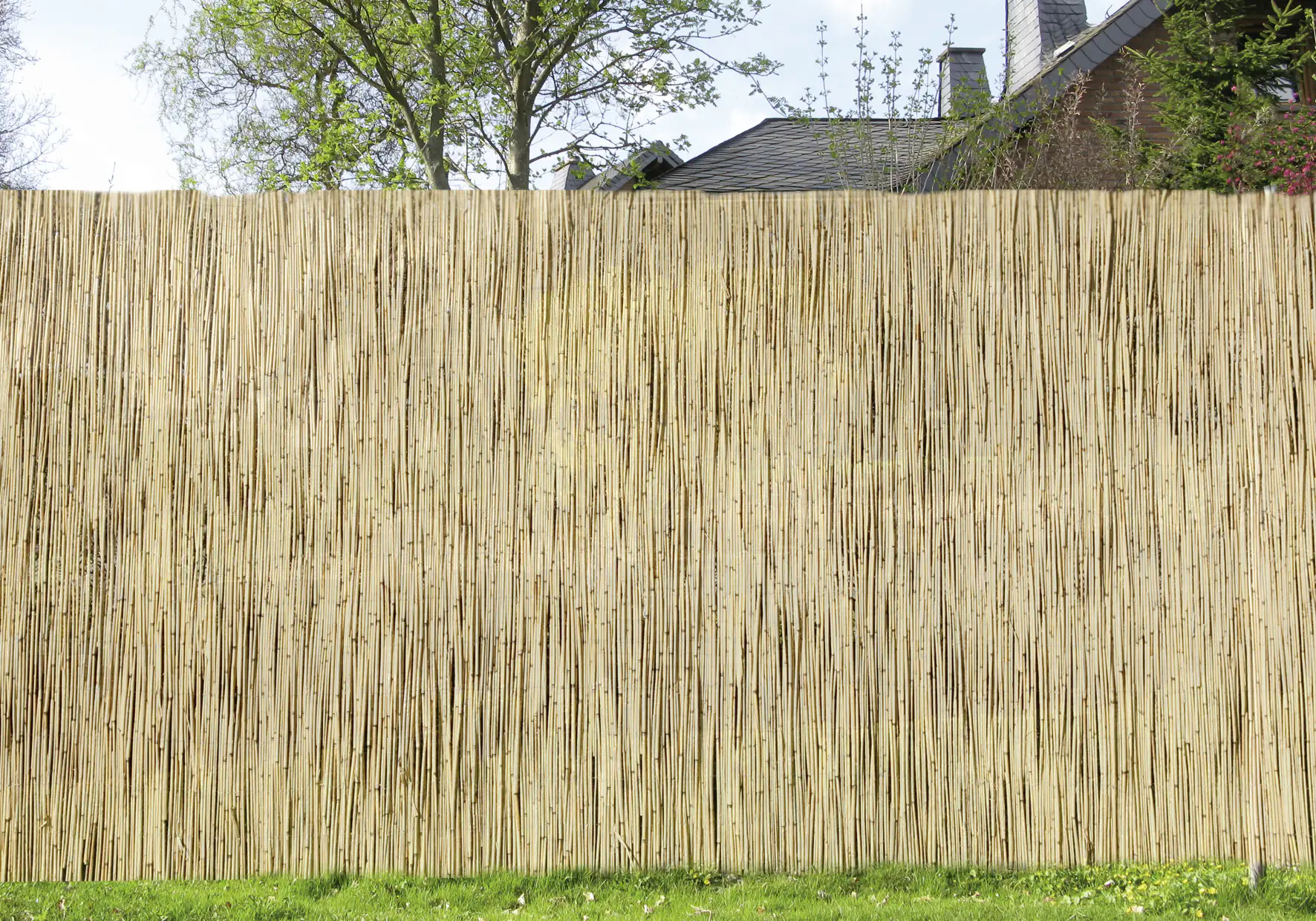 Schilfrohrmatte 6 x 1,8 m